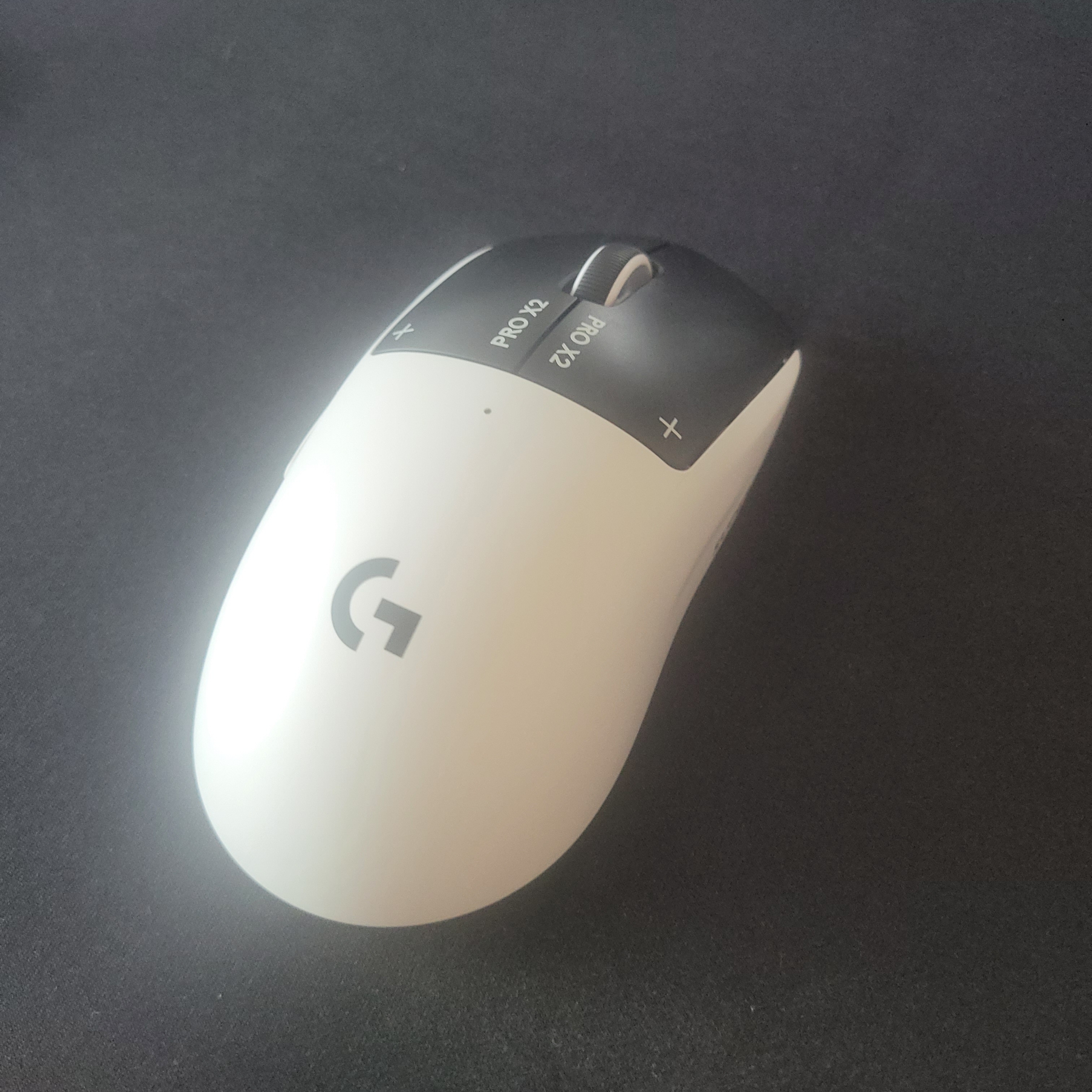 Logitech G Pro X 2 Superstrike Wireless Gaming Mouse Silver Black (Korean Ver.) 착용 스타일