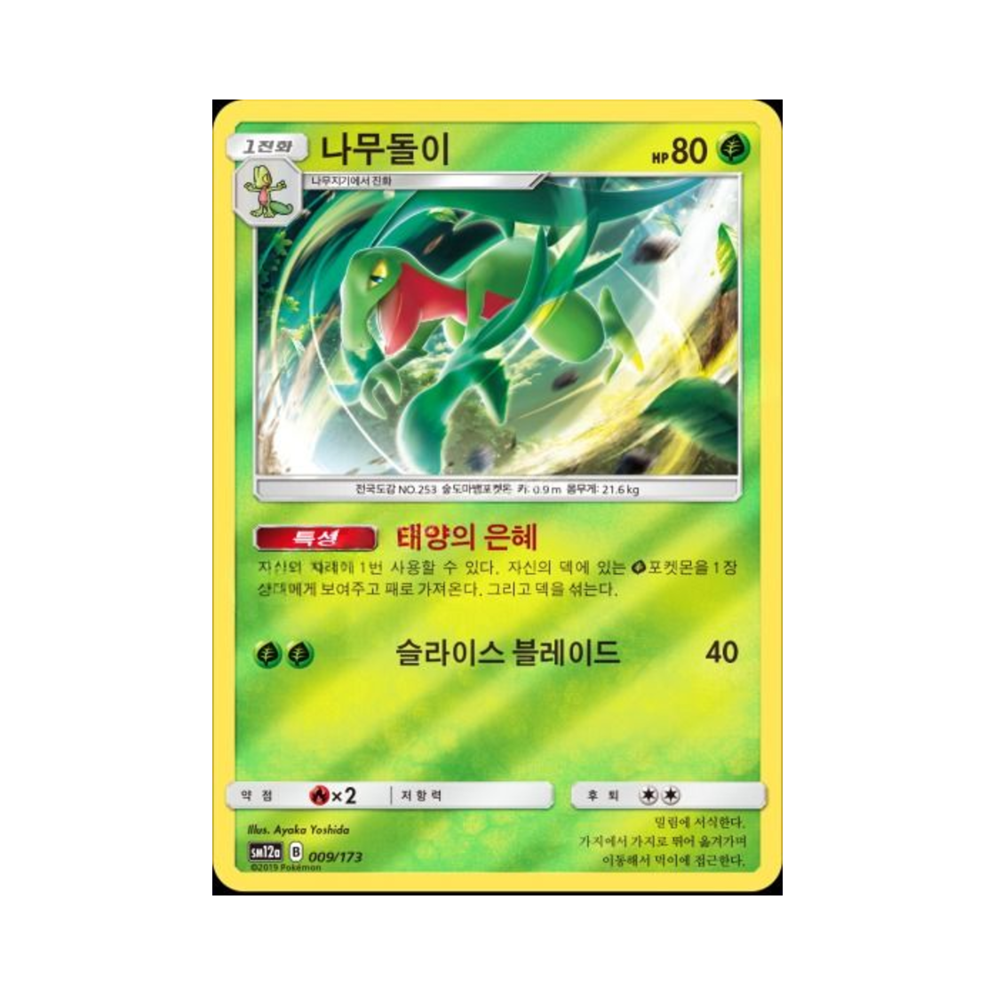 포켓몬 TCG 나무돌이 태그올스타즈 (한글판)(Pokemon TCG Grovyle Tag All Stars (Korean Ver.)) - 1