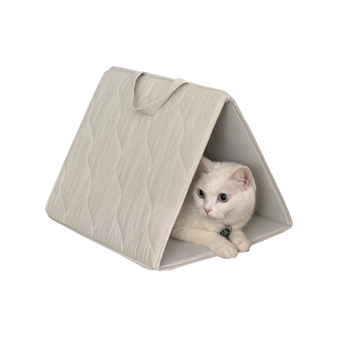 집에가야돼 고양이 누빔 삼각터널