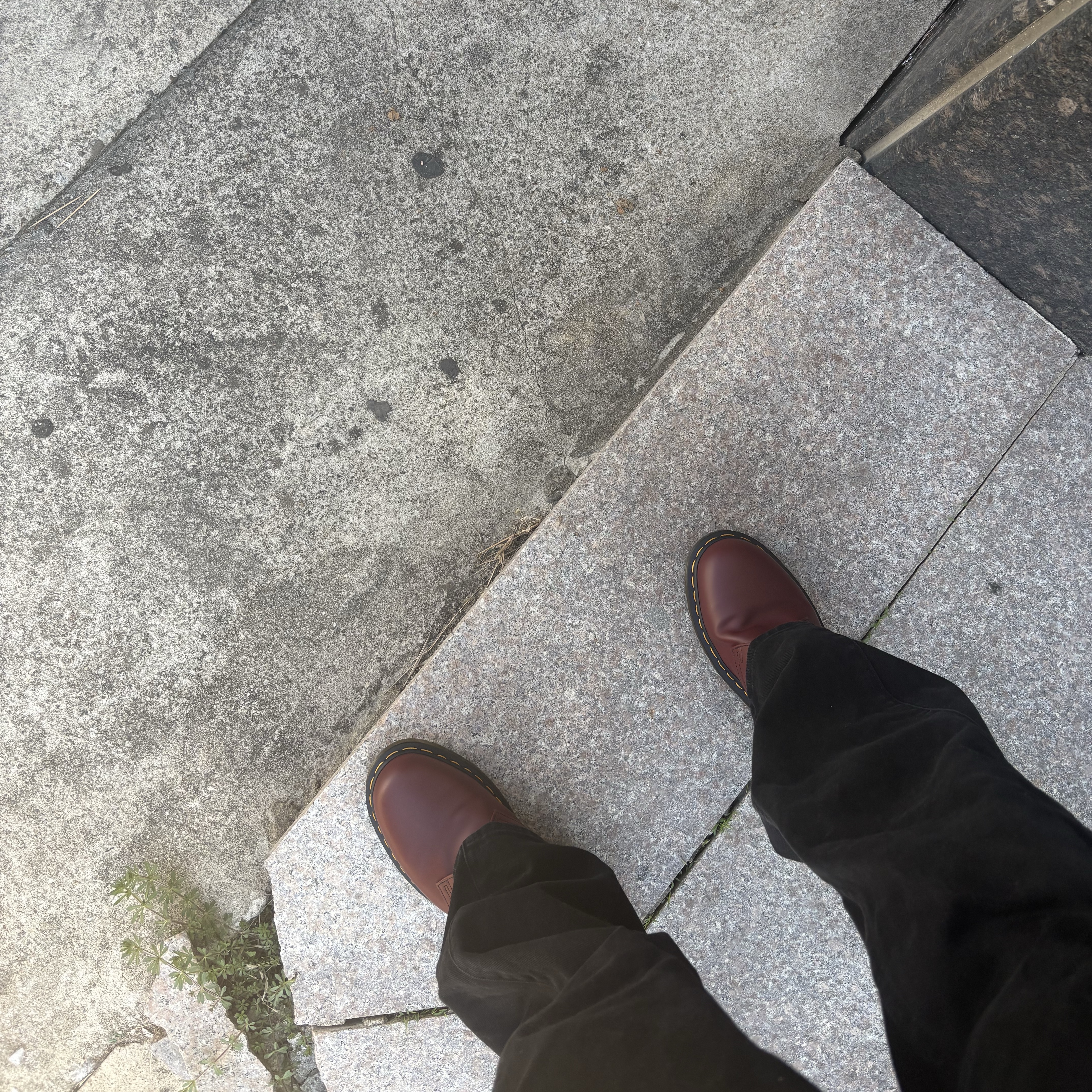 Dr. Martens 1461 Smooth Leather Oxford Shoes Cherry Red 착용 스타일
