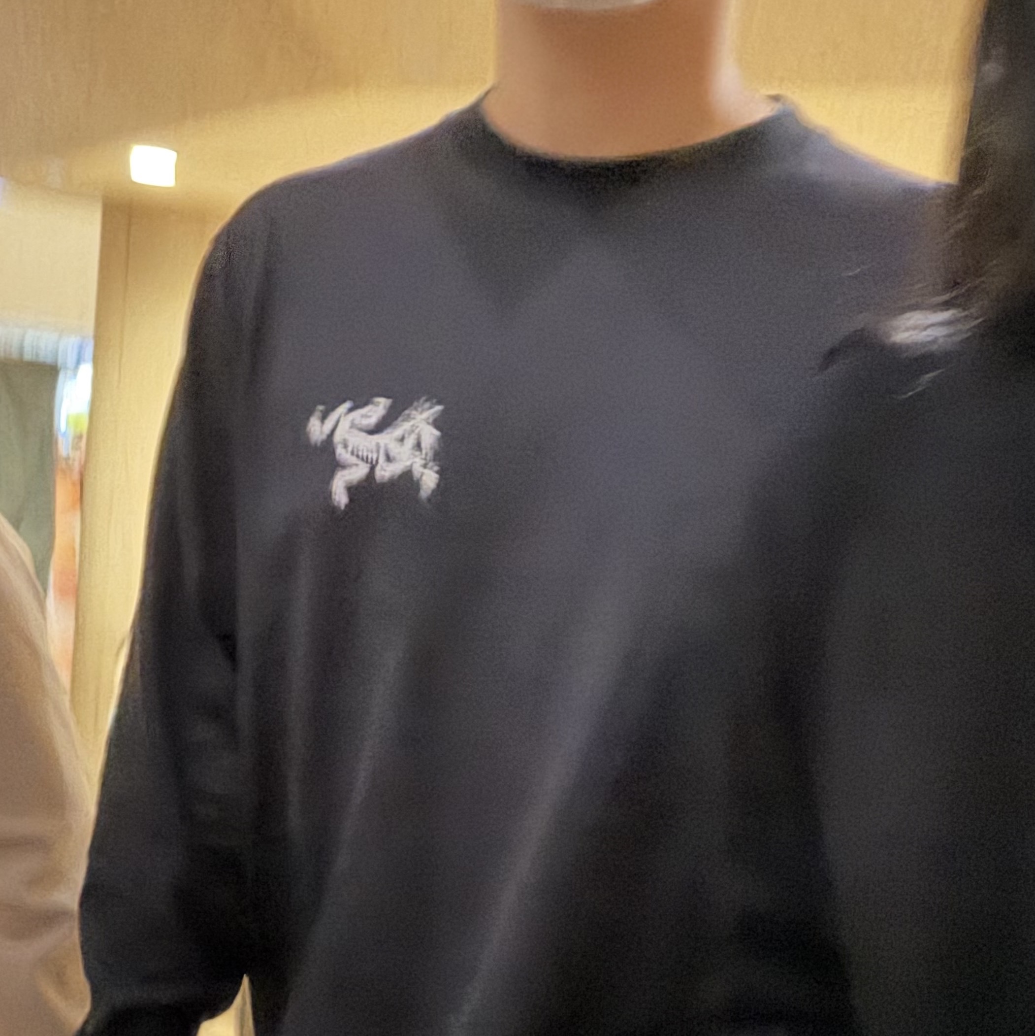Arc'teryx Kragg SL Cotton Bird Tile LS Shirt Black Arctic Silk 착용 스타일