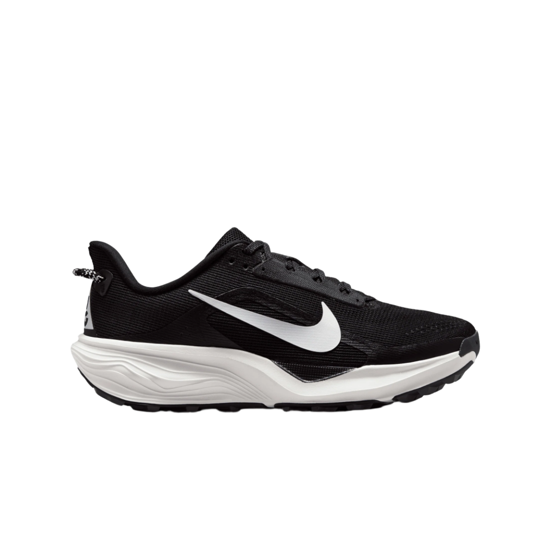HV8121-001 (W) Nike ACG Pegasus Trail Black Anthracite