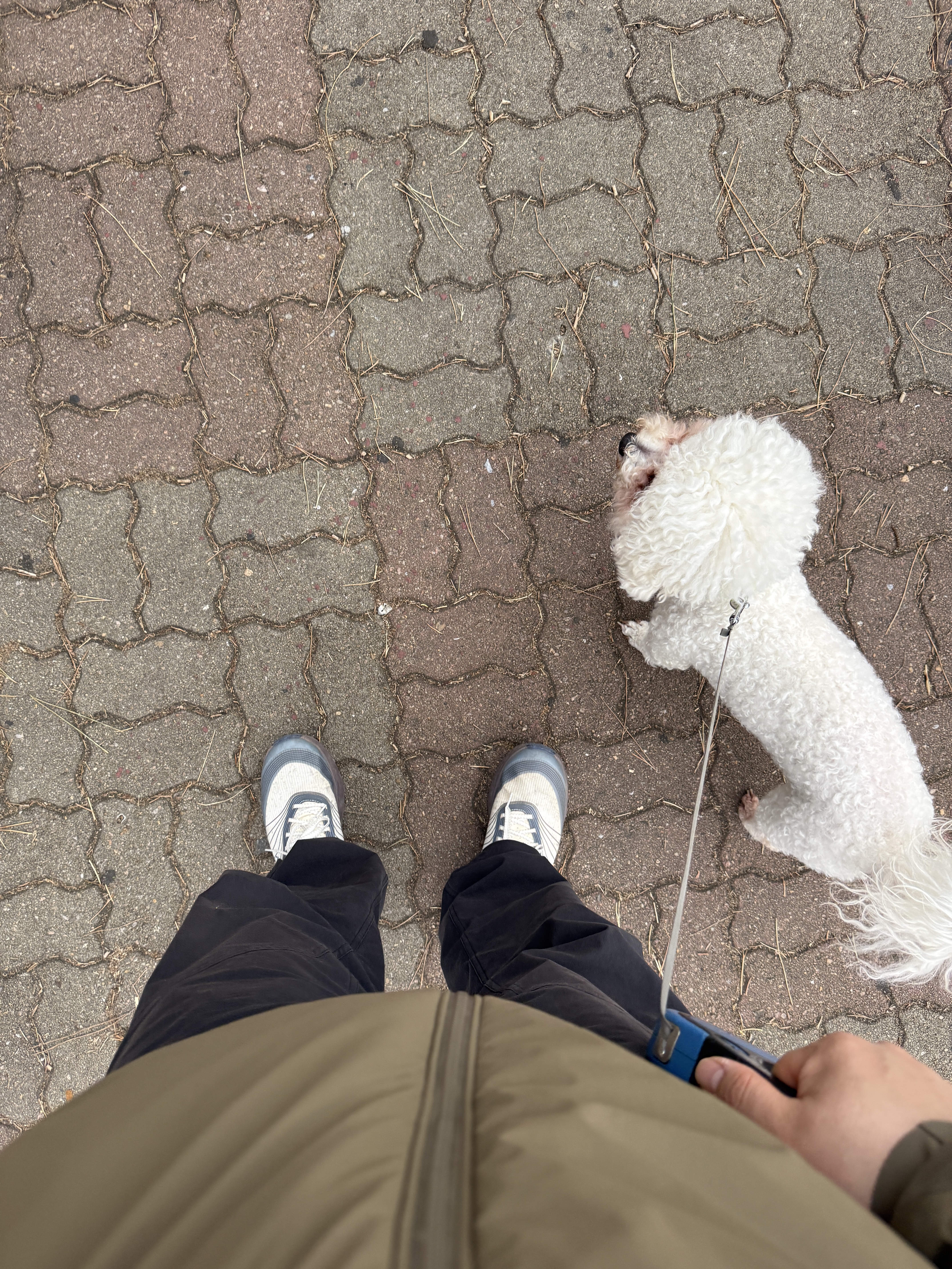 Arc'teryx LEAF Cold WX Hoody LT Gen 2 Crocodile 착용 스타일