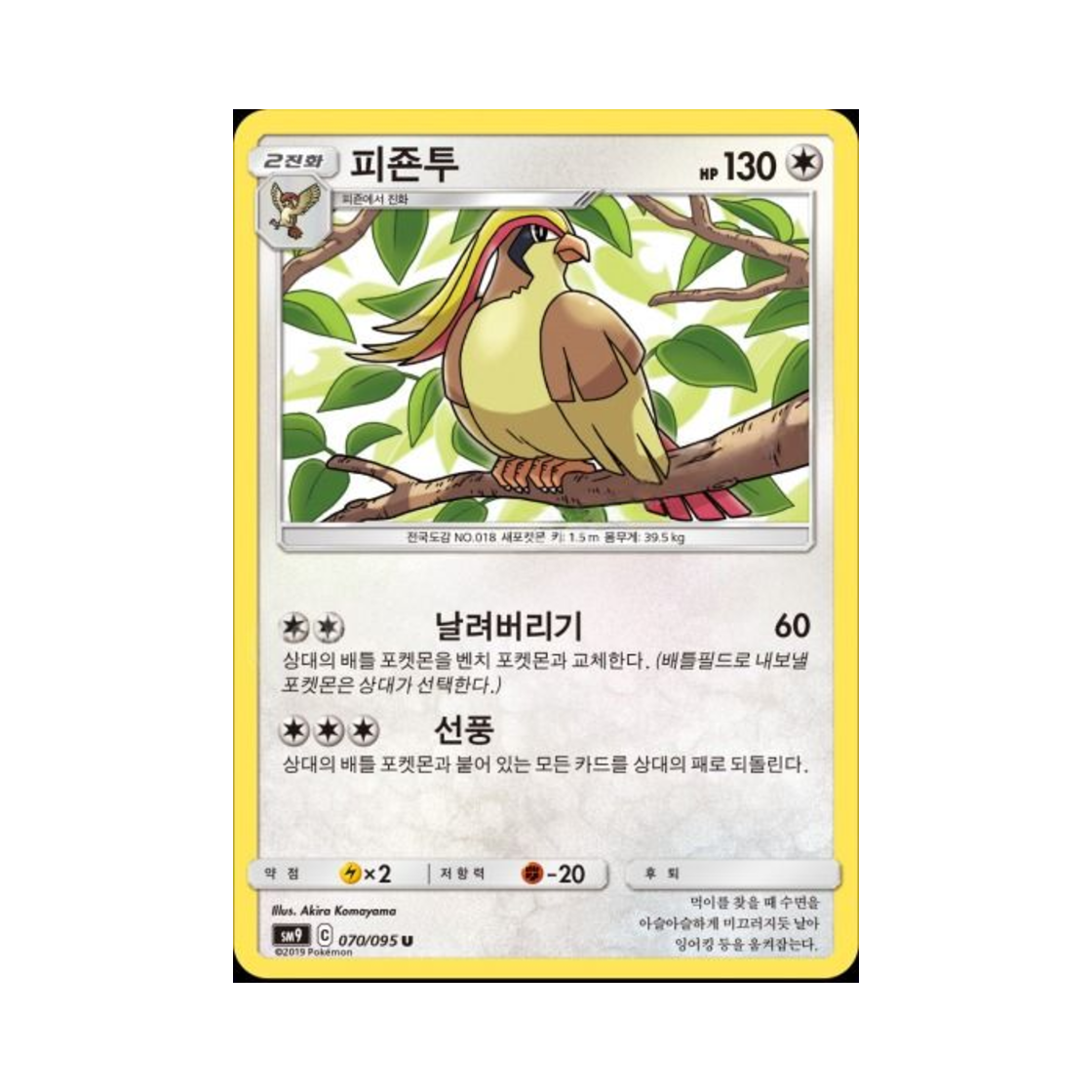 포켓몬 TCG 피죤투 U 태그볼트 (한글판)(Pokemon TCG Pidgeot U Tag Bolt (Korean Ver.)) - 1