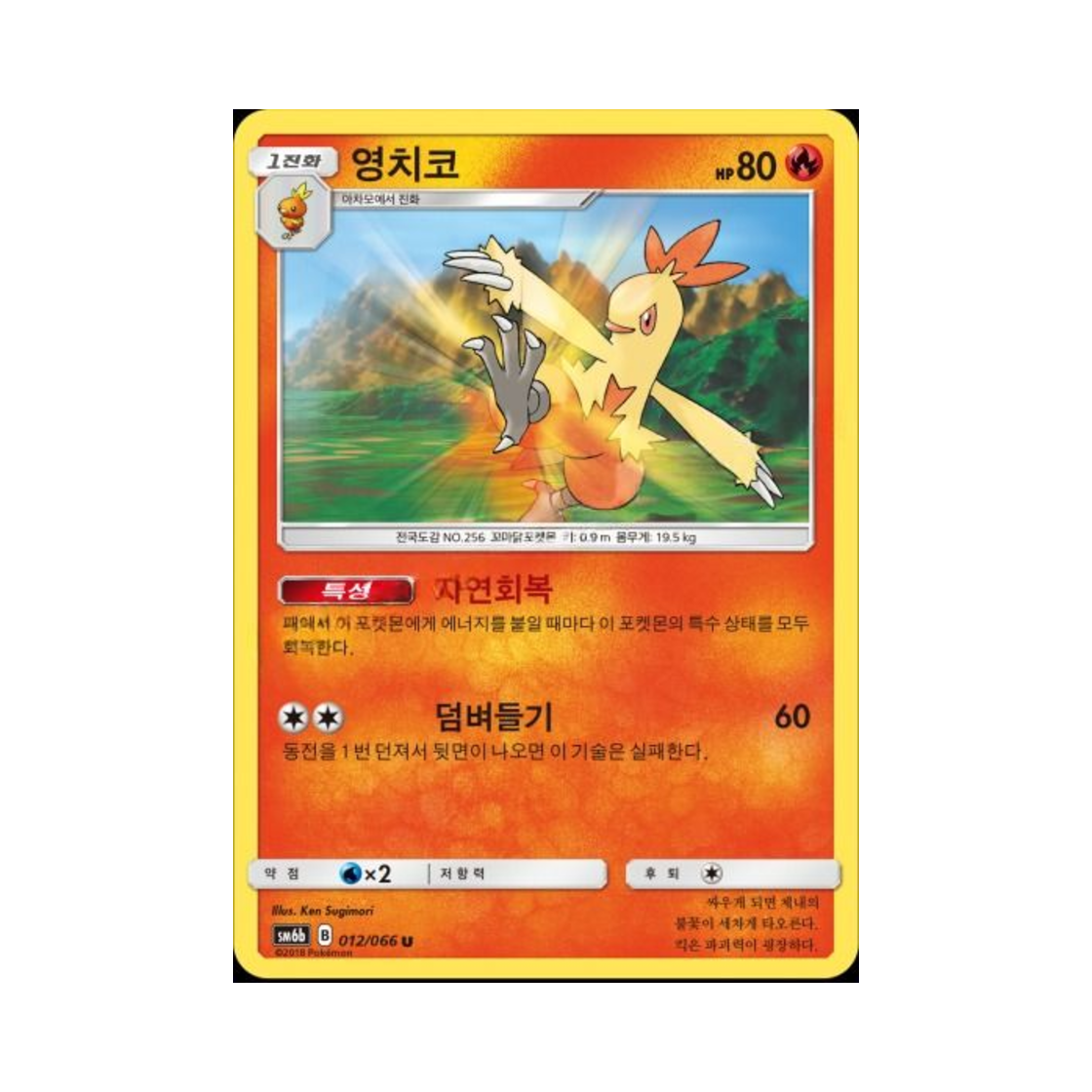 포켓몬 TCG 영치코 U 챔피언로드 (한글판)(Pokemon TCG Combusken U Champion Road (Korean Ver.)) - 1