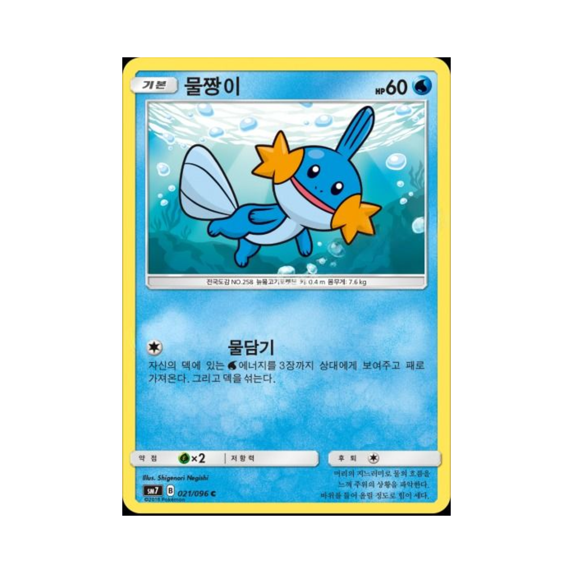 포켓몬 TCG 물짱이 C 창공의 카리스마 (한글판)(Pokemon TCG Mudkip C Charisma Of The Wrecked Sky (Korean Ver.)) - 1