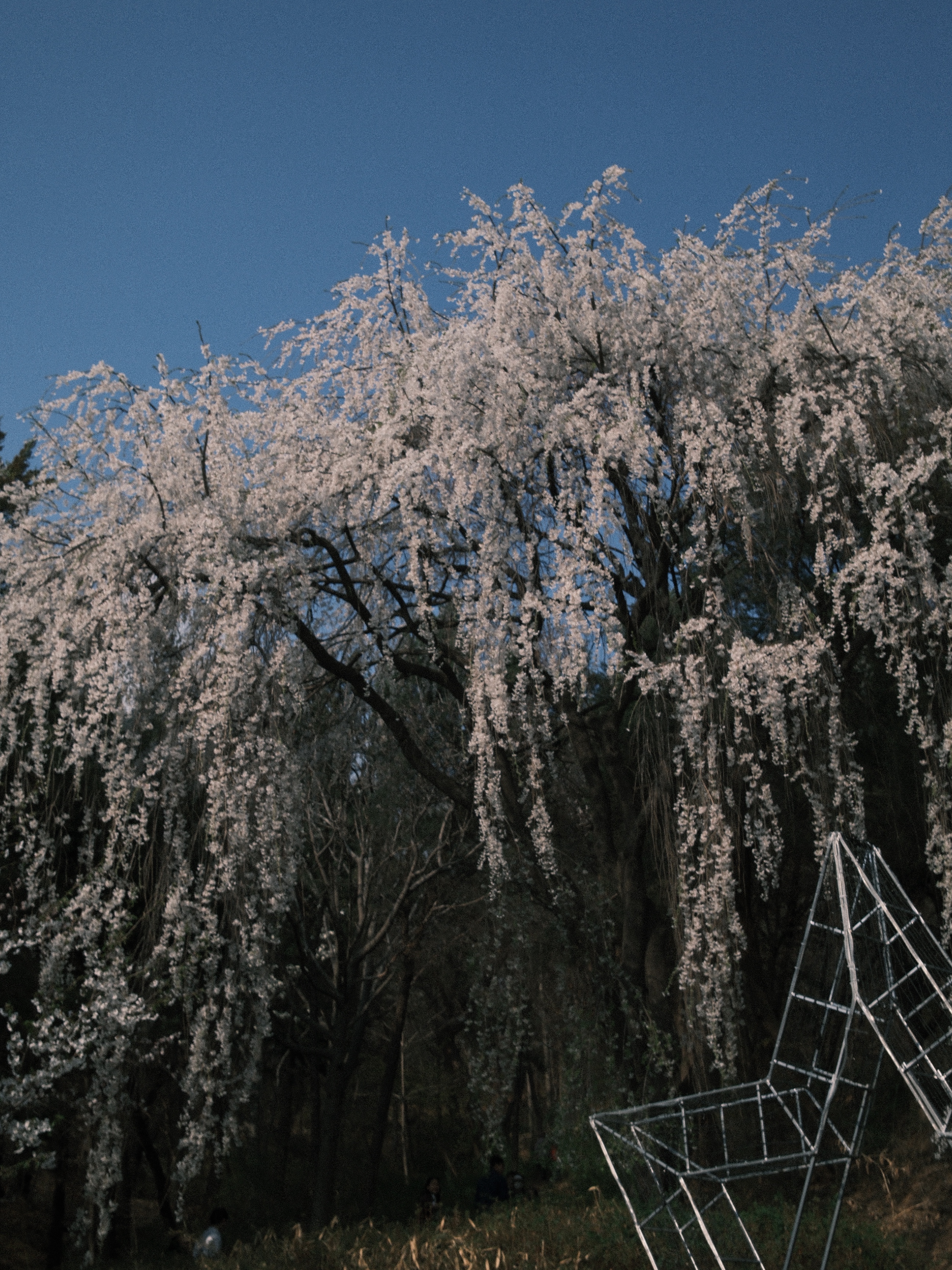 너구리님의 스타일