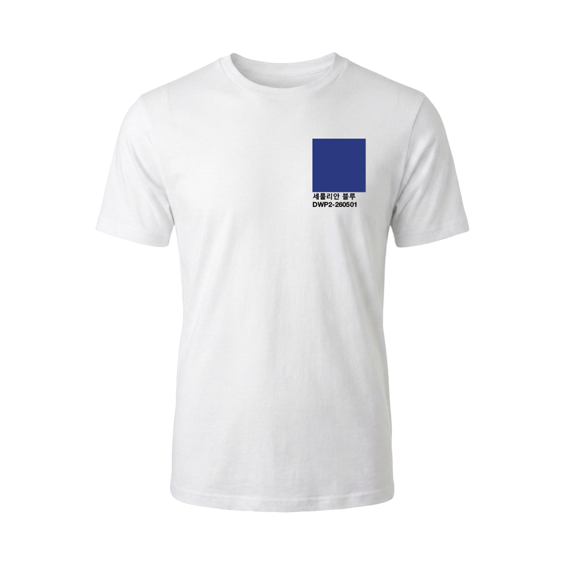 - Somewherepictures DWP2-260501 Seoul T-Shirt White Cerulean Blue (300 Limited)