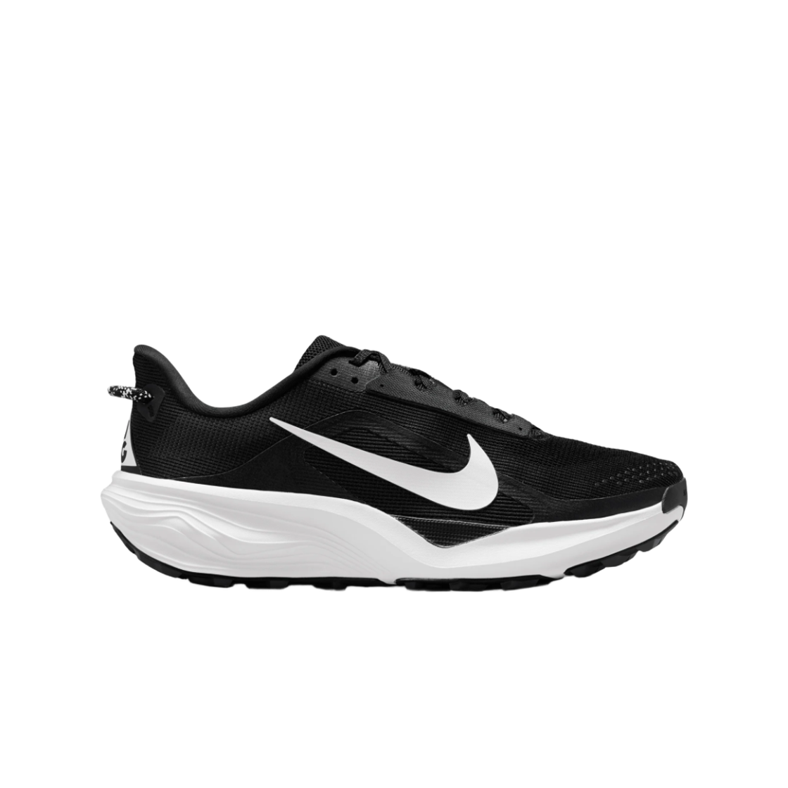 HV8116-001 Nike ACG Pegasus Trail Black Anthracite