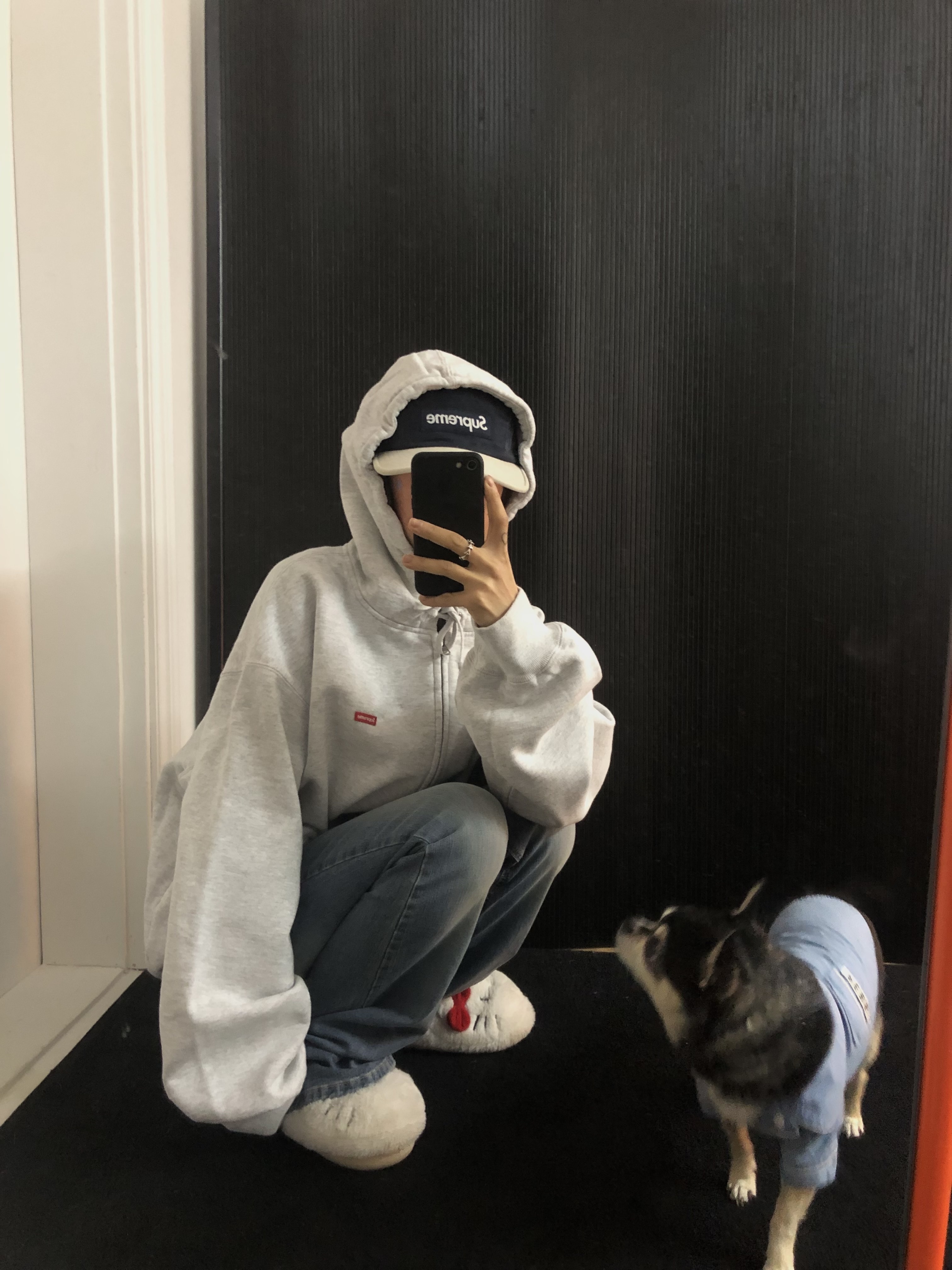 Supreme Small Box Zip Up Hooded Sweatshirt Ash Grey - 26SS 착용 스타일 - 1