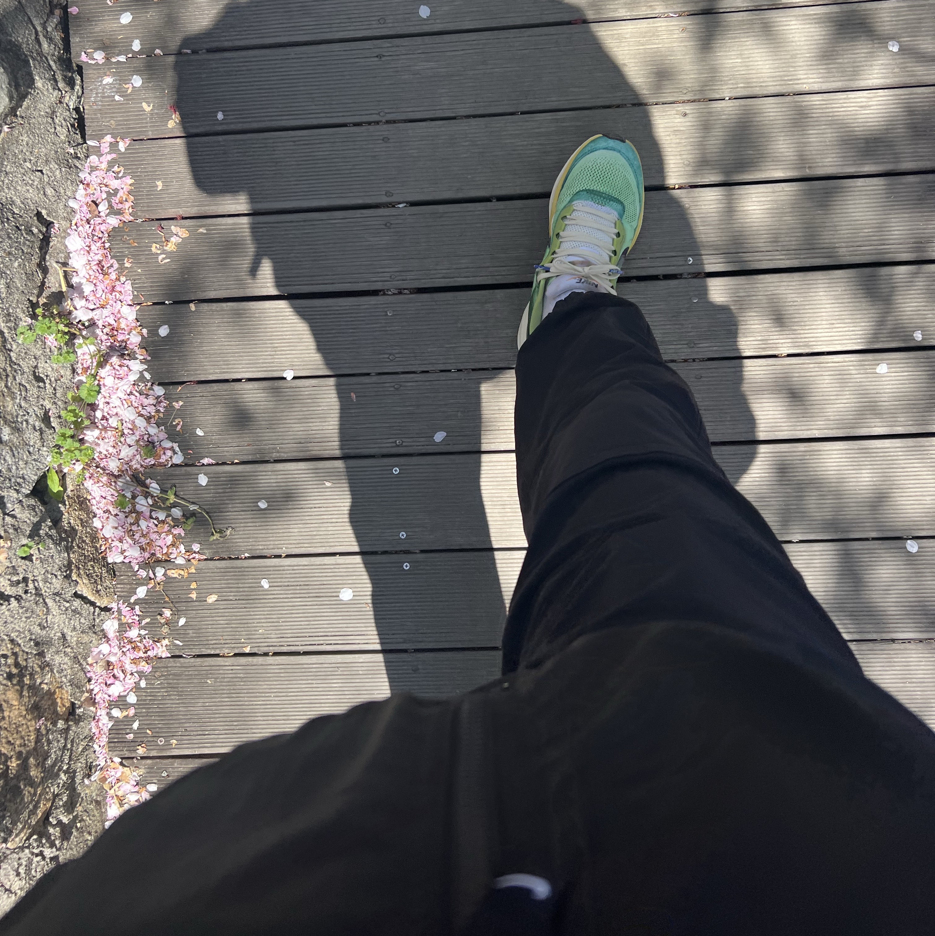 Nike Air Zoom Pegasus 41 Multi Color Vivid Green, Nike ACG Trail Pants Black Anthracite - Asia 착용 스타일