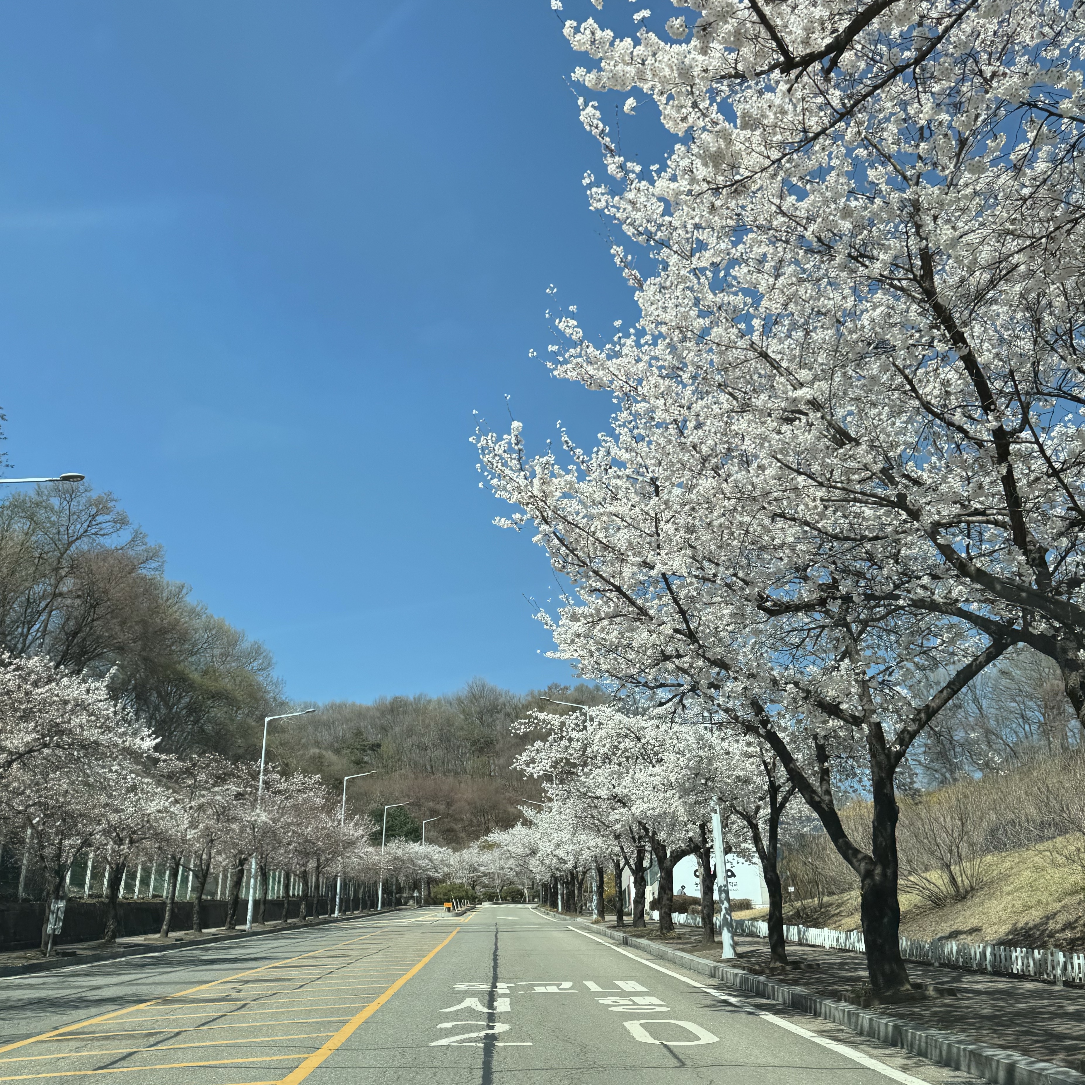 숙주나물무침님의 스타일 - 2