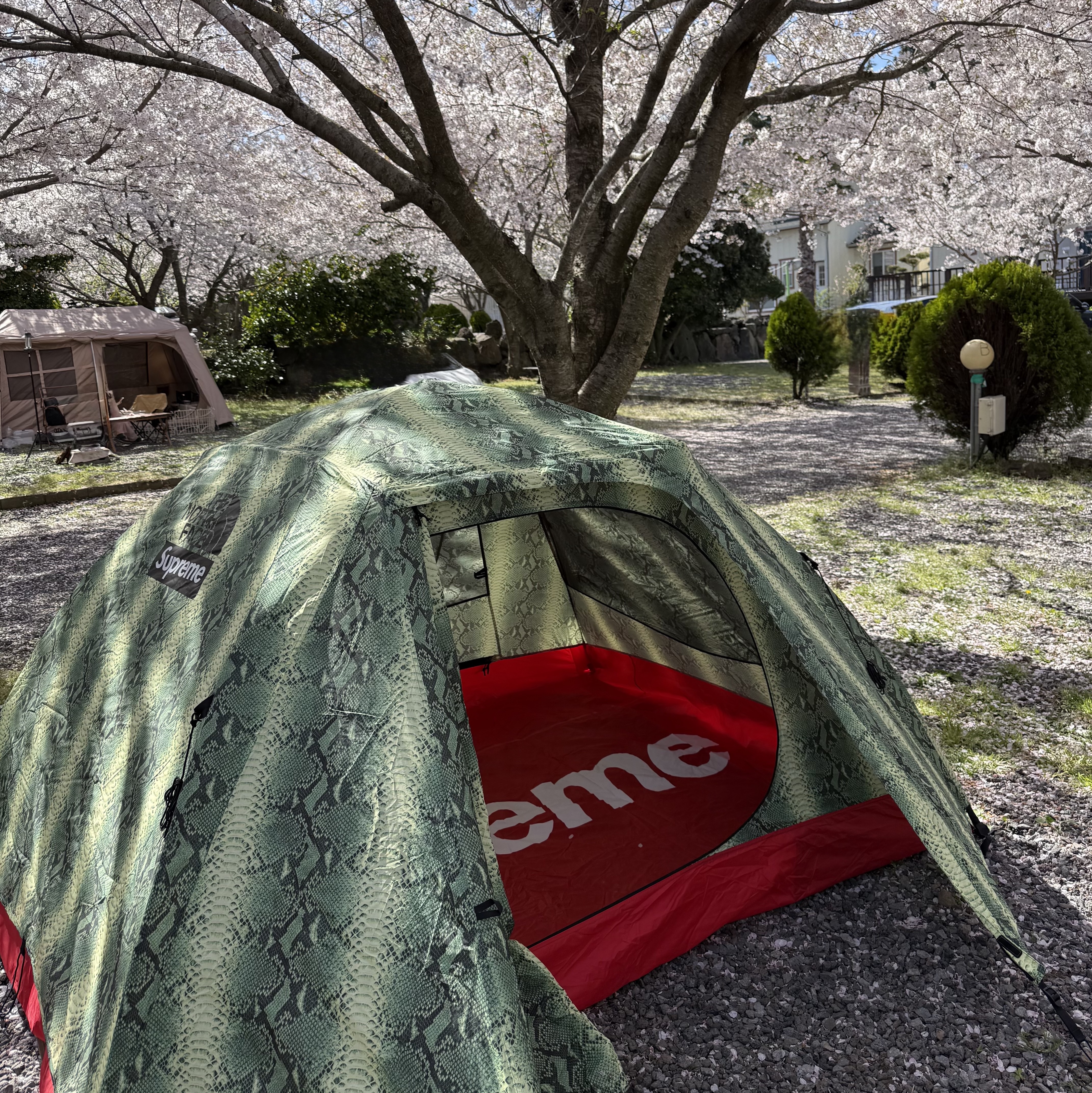 Supreme x The North Face Snakeskin Taped Seam Stormbreak 3 Tent Green - 18SS 착용 스타일