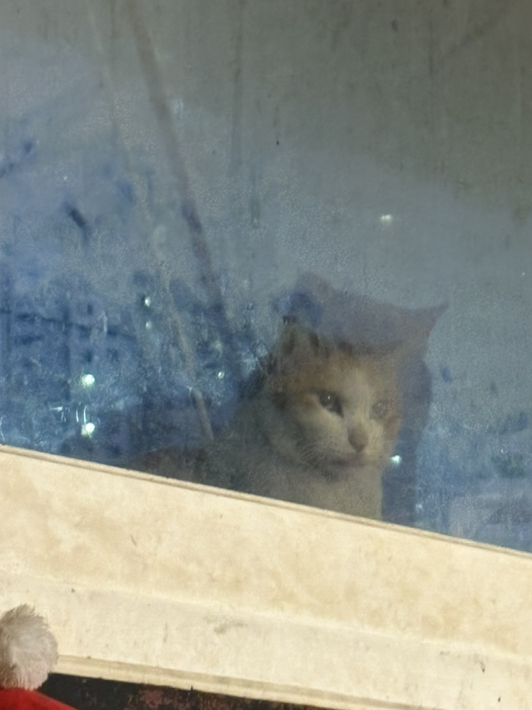 관심 유저 프로필 이미지