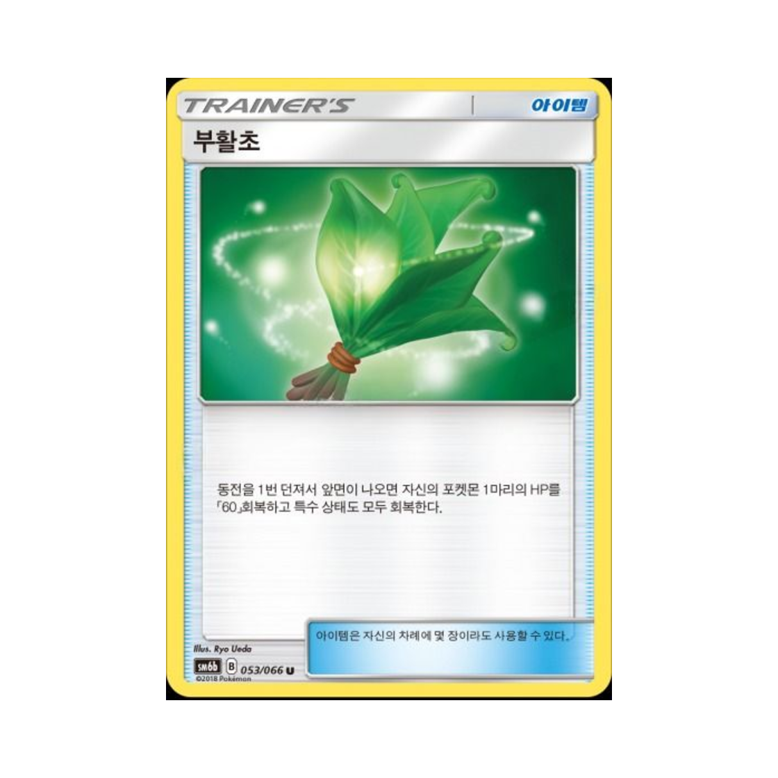 포켓몬 TCG 부활초 U 챔피언로드 (한글판)(Pokemon TCG Life Herb U Champion Road (Korean Ver.)) - 1