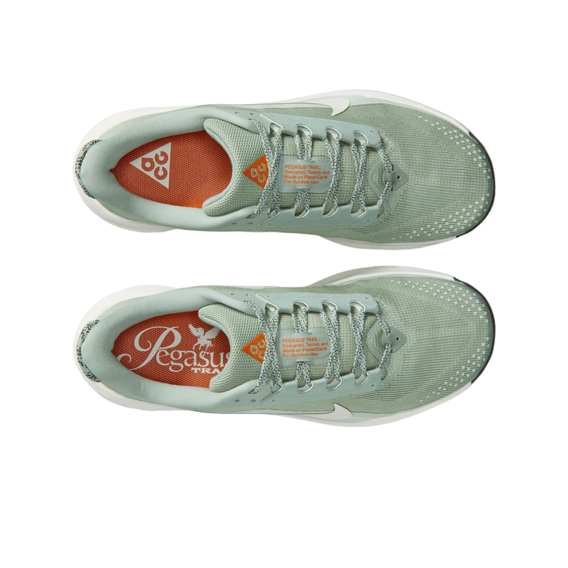 나이키 ACG 페가수스 트레일 제이드 호라이즌 라이트 실버(Nike ACG Pegasus Trail Jade Horizon Light Silver) - 2