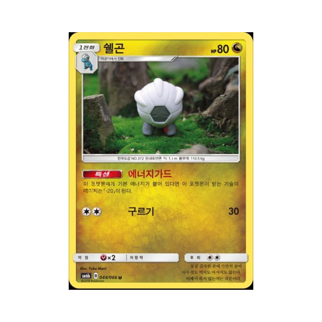 포켓몬 TCG 쉘곤 U 챔피언로드 (한글판)(Pokemon TCG Shelgon U Champion Road (Korean Ver.)) - 1