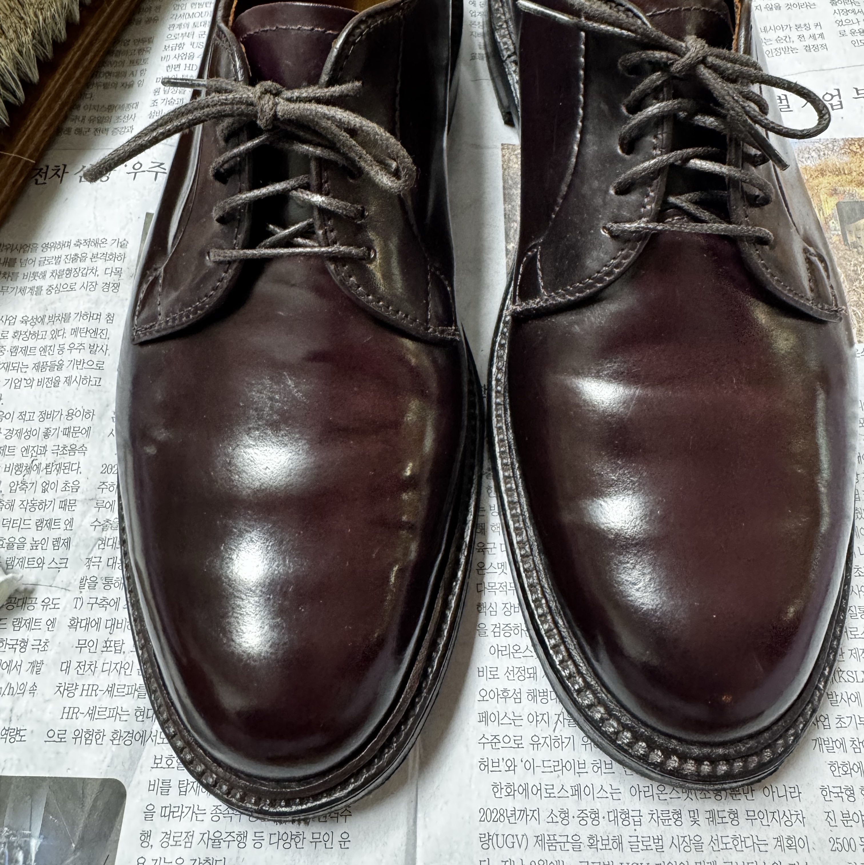 Alden 990 Cordovan Plain Toe Blucher Oxford Burgundy - D 착용 스타일