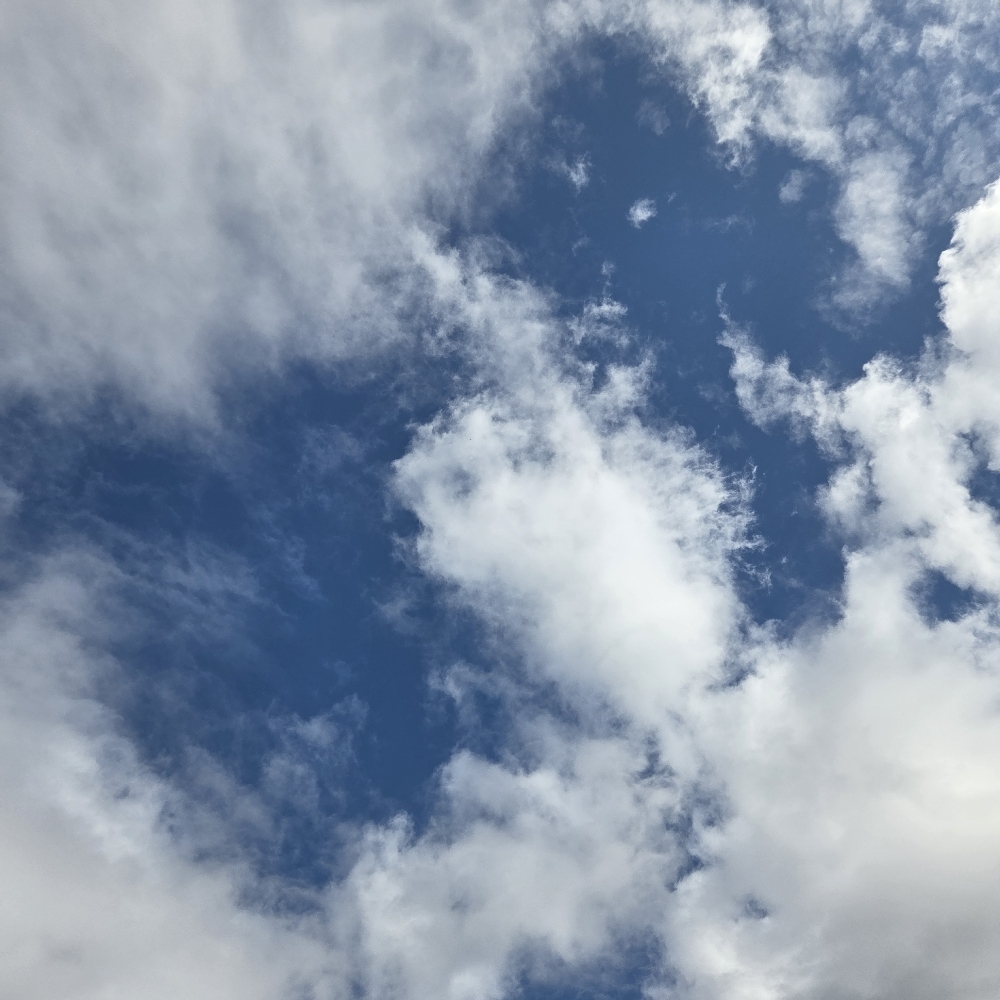 관심 유저 프로필 이미지