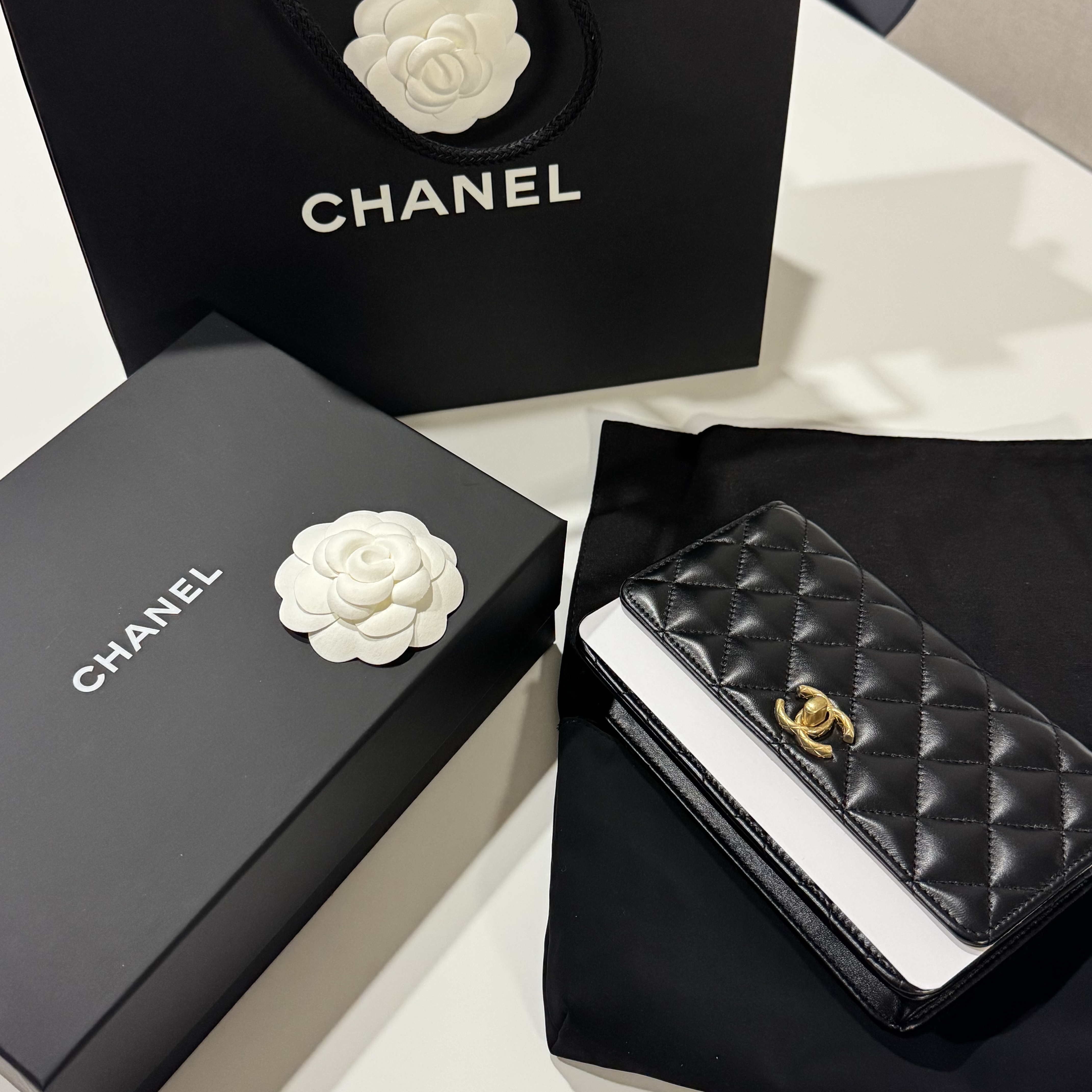 Chanel Wallet On Chain Lambskin & Gold Black 착용 스타일 - 4