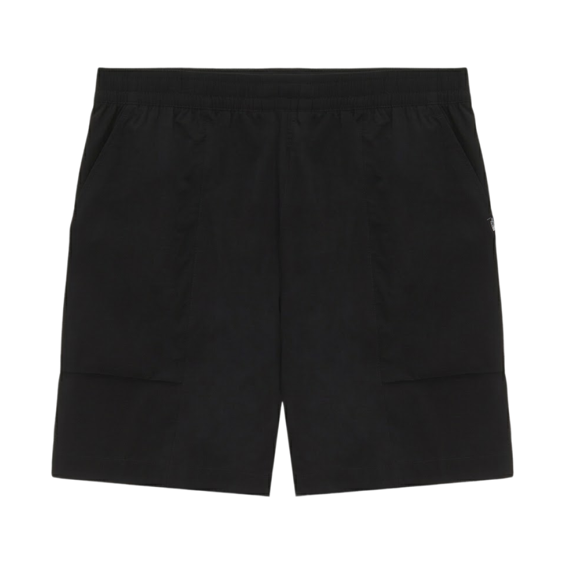 NS6NS20A The North Face Icecube Shorts Black - 26SS