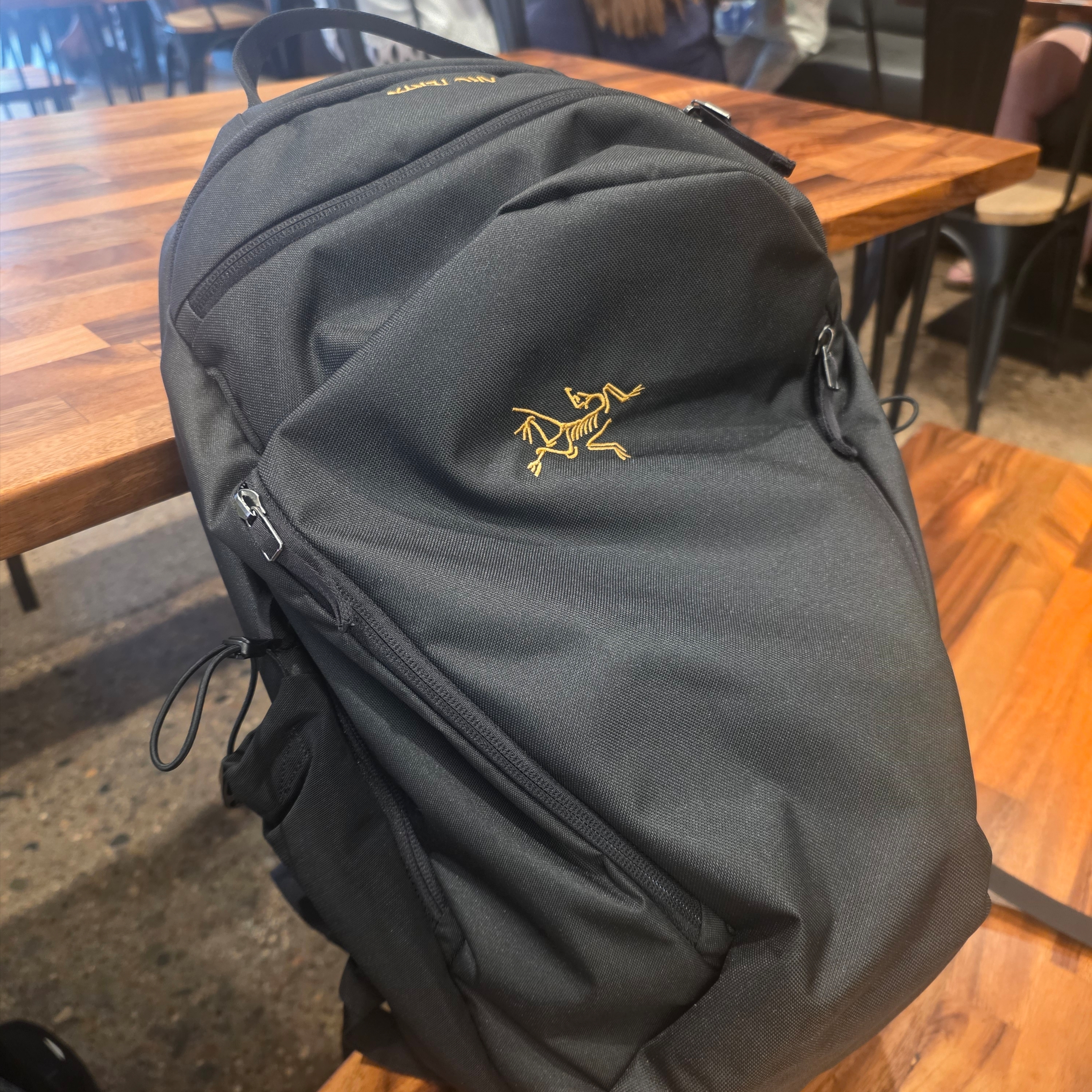 Arc'teryx Mantis 26 Backpack Black 착용 스타일