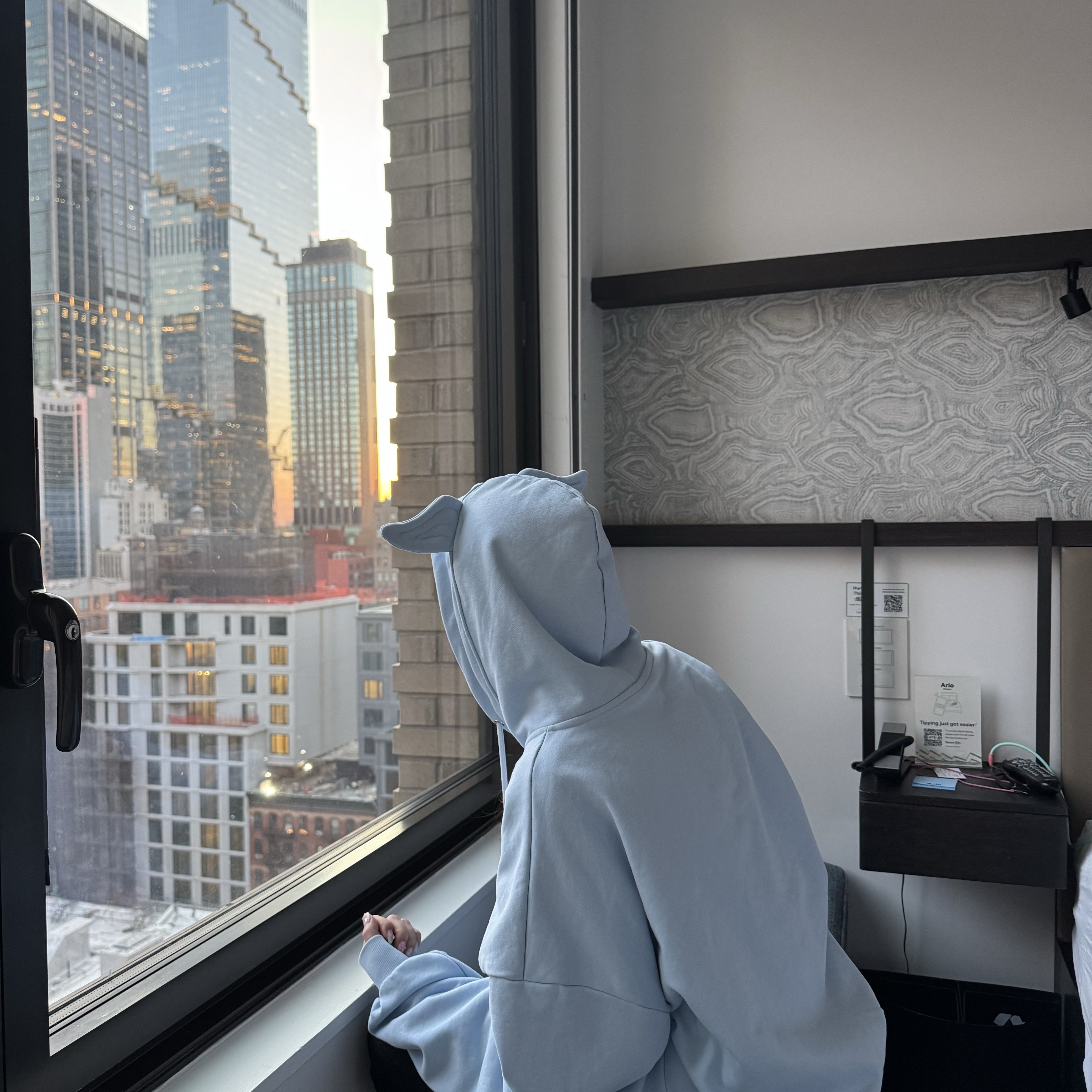 Yegg Wing hoodie  sky blue 착용 스타일