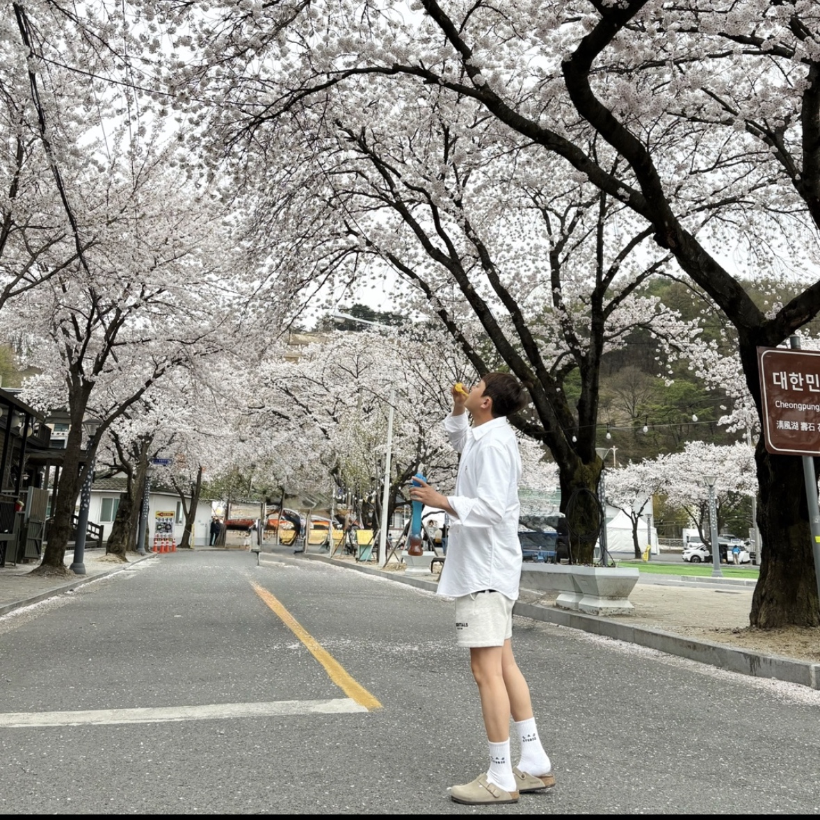 Kapital 14 oz. Denim 1ST One Wash Jacket Indigo, Wooyoungmi Cotton Back Logo T-Shirt White - 25SS 착용 스타일 - 2
