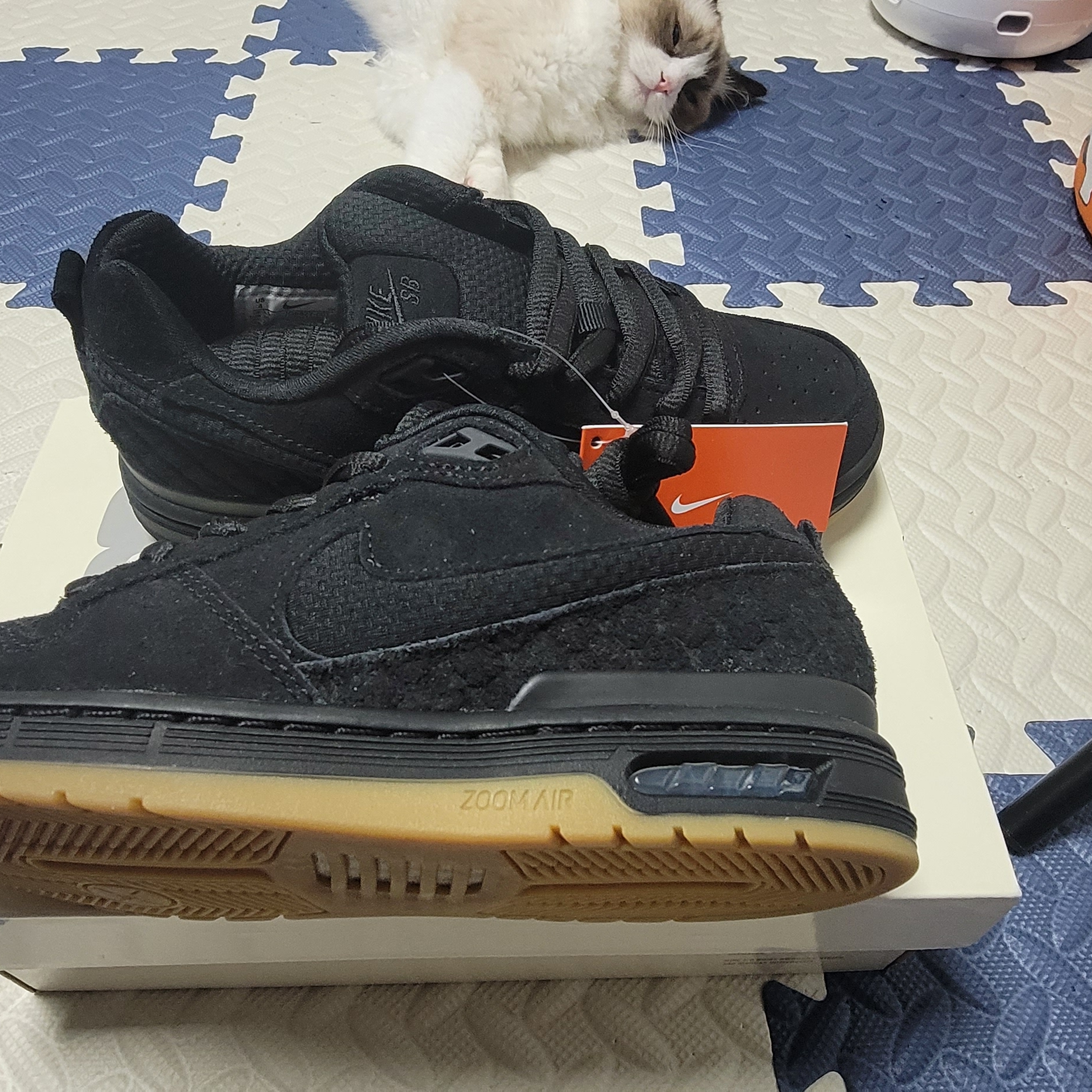 Nike x Paul Rodriguez SB Zoom Air Low Black and Gum Light Brown 착용 스타일 - 4