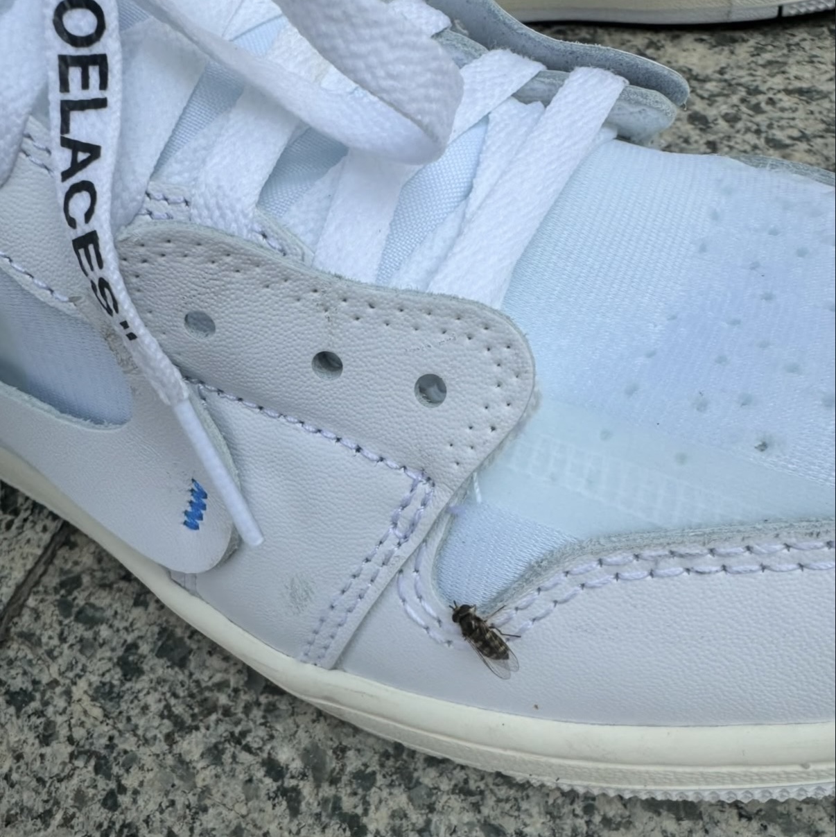 Jordan 1 x Virgil Abloh Archive Retro High Alaska White, Supreme Arabic Logo Skateboard Aqua 8.25" x 32" - 26SS 착용 스타일 - 2