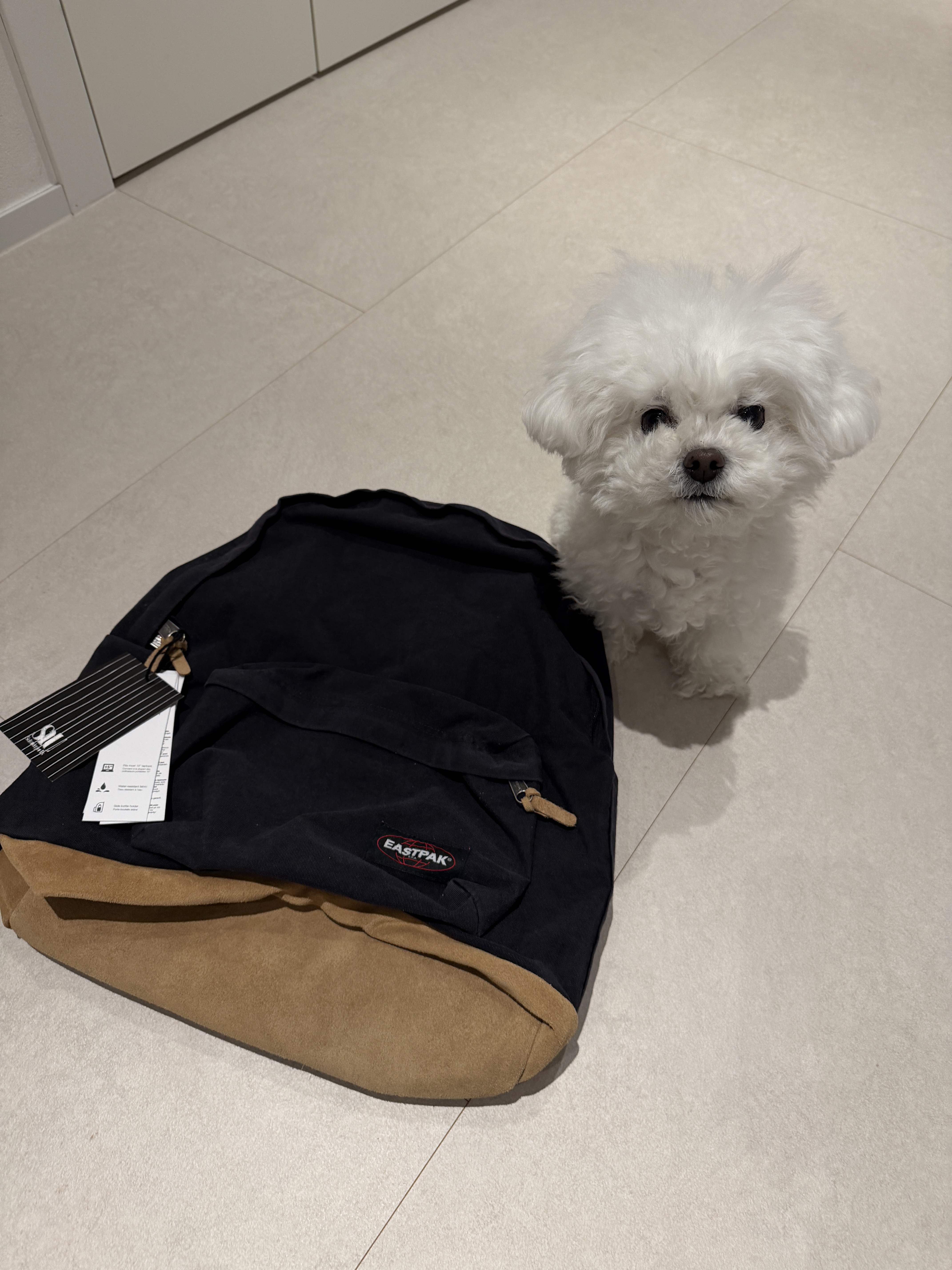 STU X EASTPAK Padded PAK'R 80'S Black XL 착용 스타일 - 1