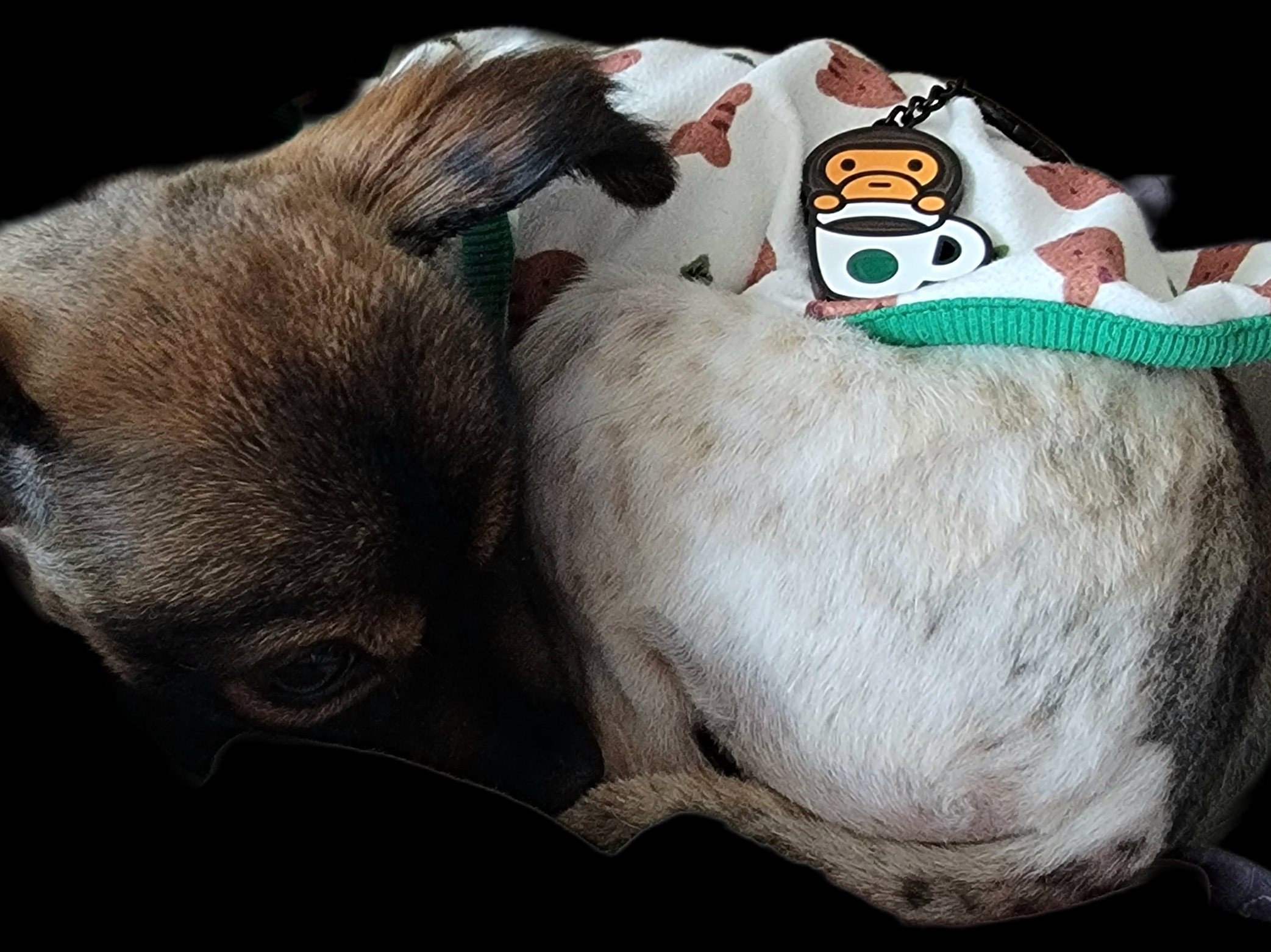 Starbucks x BAPE Baby Milo Keychain 착용 스타일