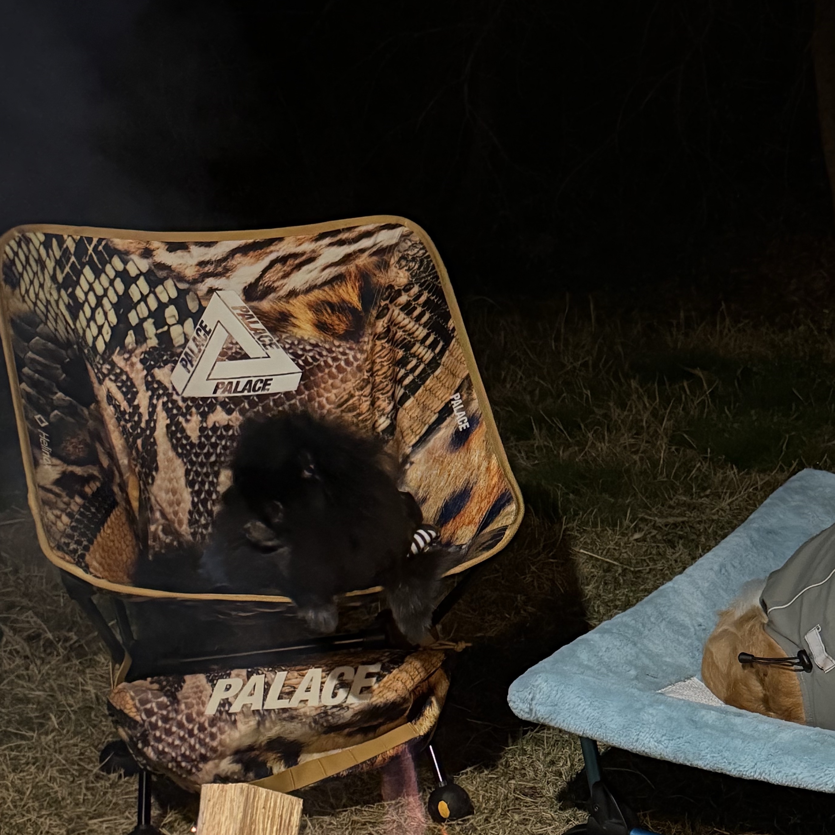 Helinox x Palace Animal Tactical Chair One Yellow - 23FW 착용 스타일