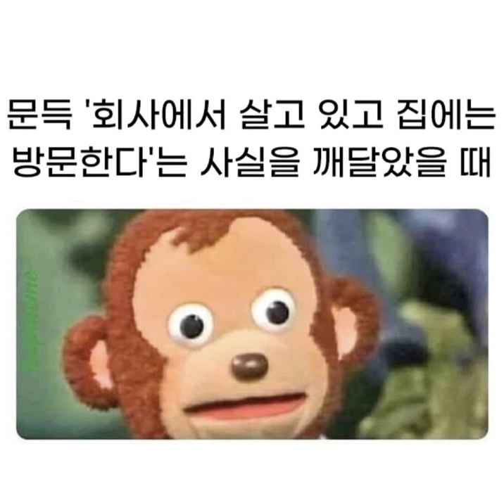 KREAM 스타일 - 2
