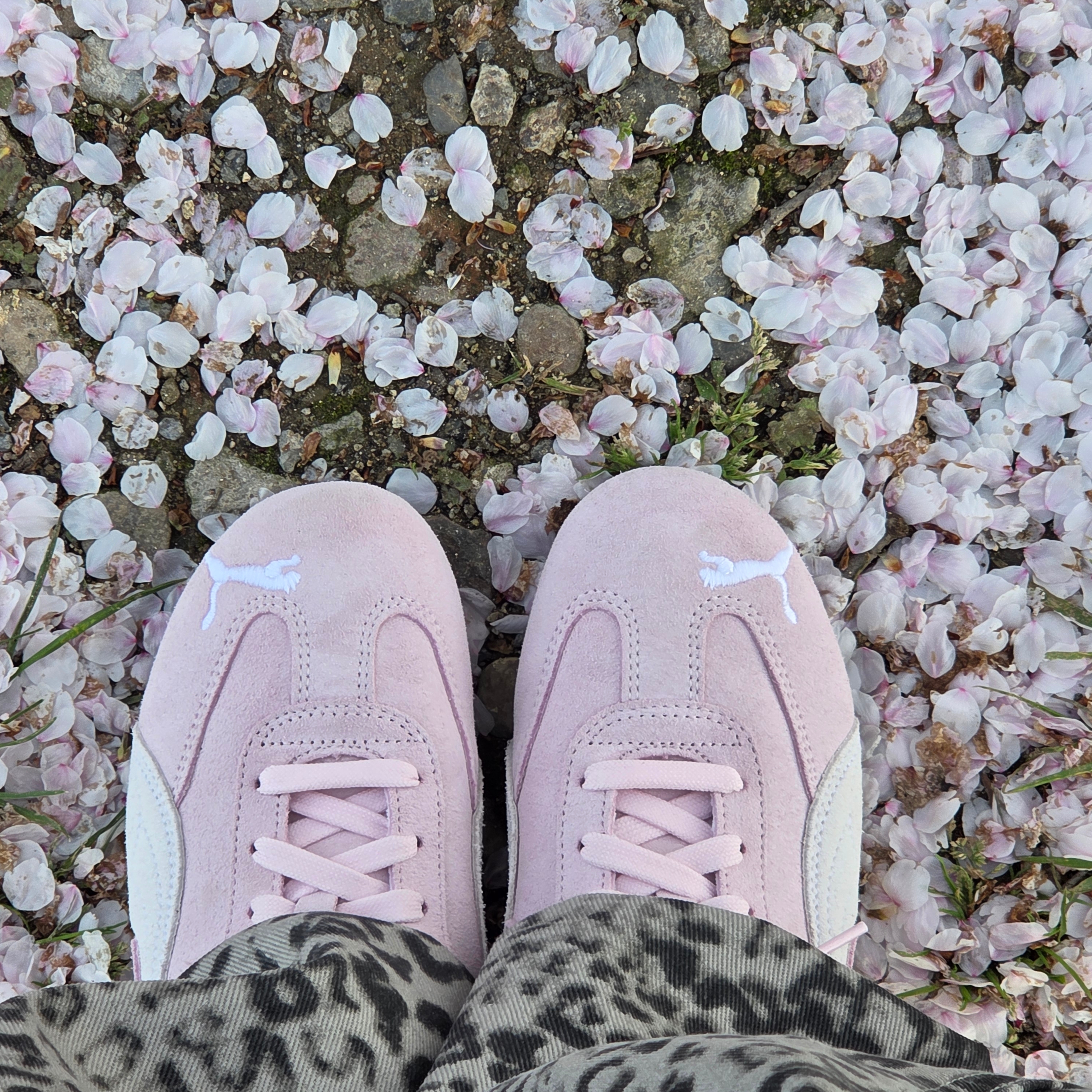 Puma Speedcat OG Pink White 착용 스타일