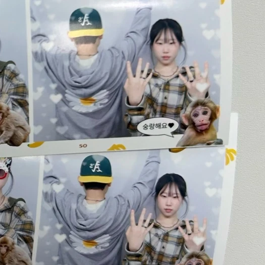 스타일 카드