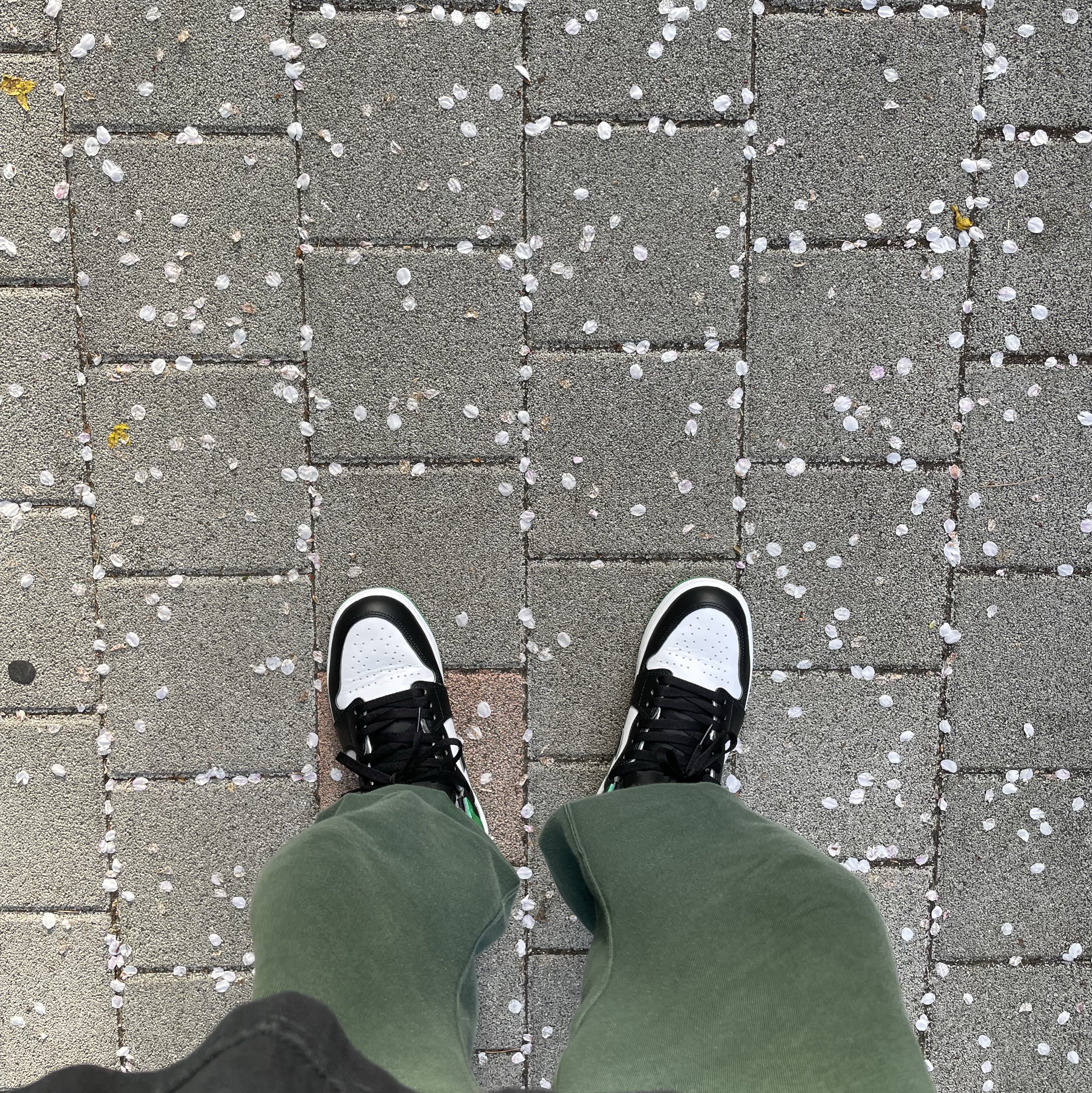 Jordan 1 Retro High OG Black and Lucky Green 착용 스타일 - 2