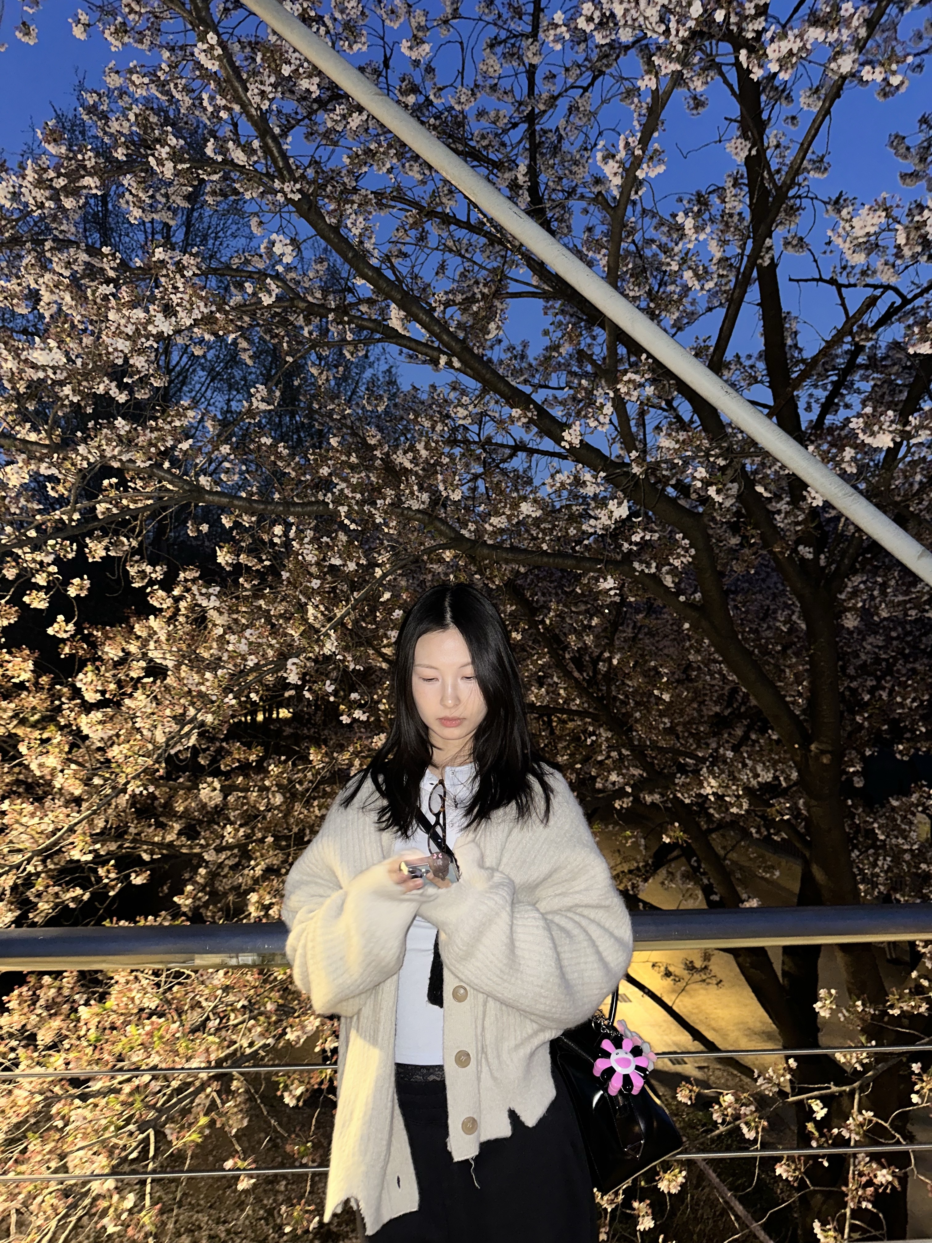 (W) Miu Miu Regard Sunglasses Blue Lenses Honey Tortoiseshell Acetate Standard fit, Chrome Hearts Silichrome CH Cross Pendant Black 2022/2023/2025 착용 스타일