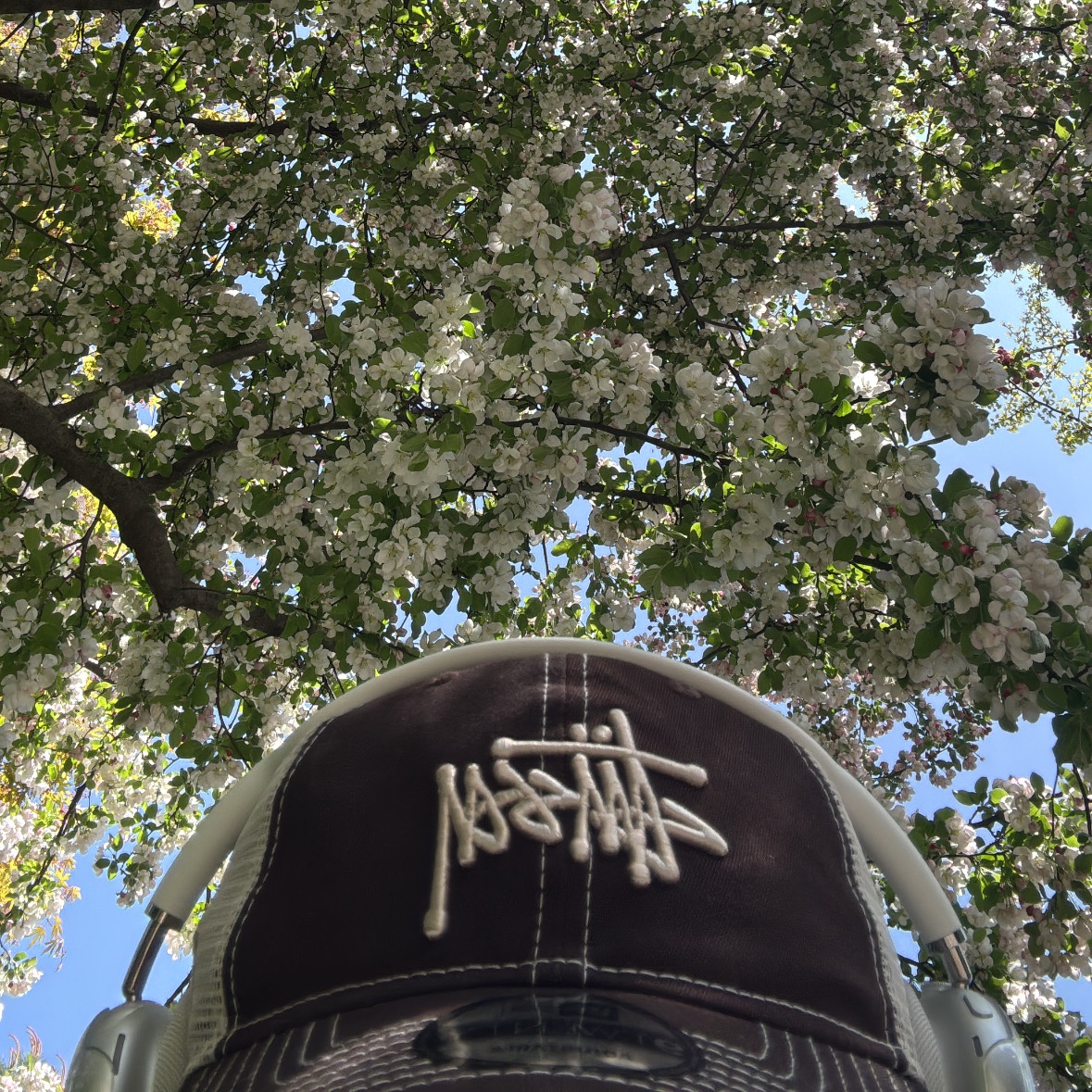 Stussy New Era 9twenty Basic Trucker Brown, Apple AirPods Max Lightning Silver (Korean Ver.) 착용 스타일 - 1