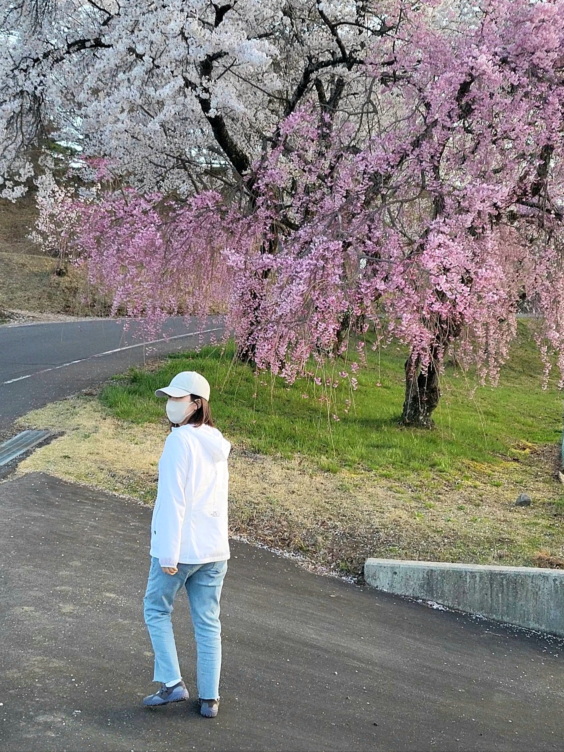 47 Brand LA Dodgers Base Runner Clean Up Grey, The North Face TNF Run EX Jacket White - 25SS 착용 스타일 - 1