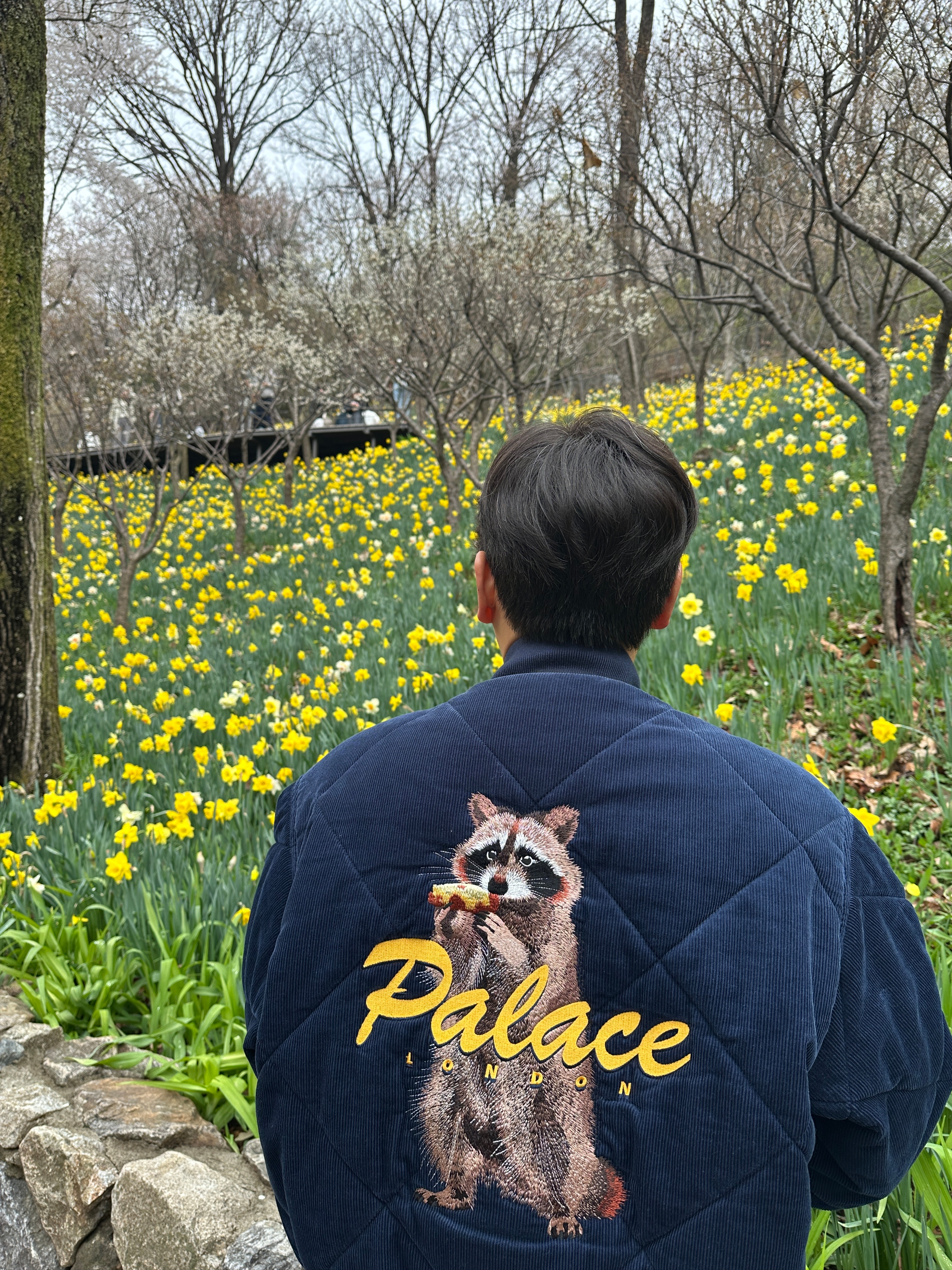 Palace Hungry Raccoon Jacket Navy - 26SS 착용 스타일