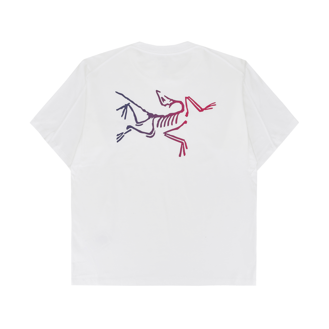 아크테릭스 크래그 코튼 로고 SS 티셔츠 화이트 라이트 멀티(Arc'teryx Kragg Cotton Logo SS T-Shirt White Light Multi)