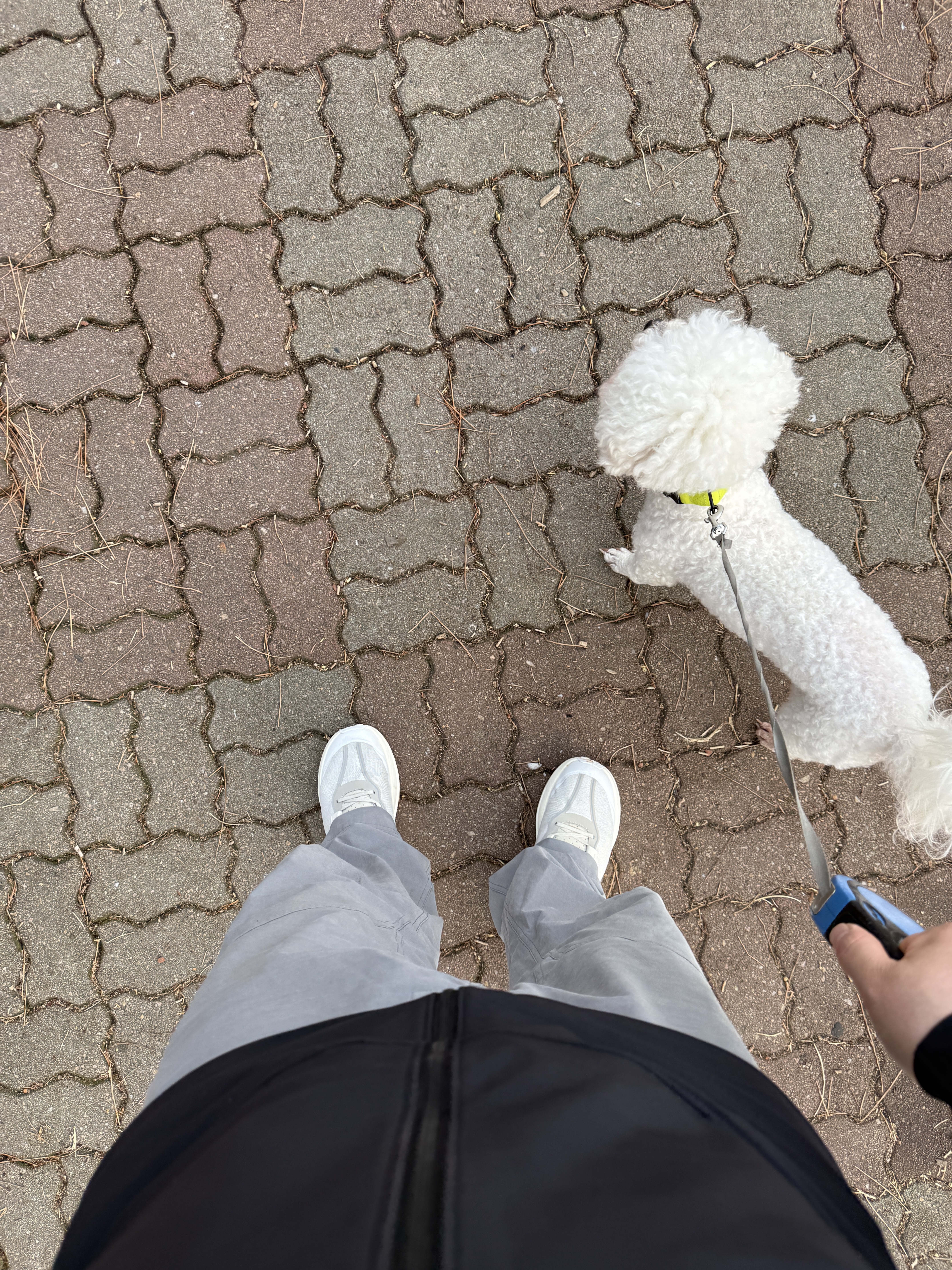 너구리님의 스타일