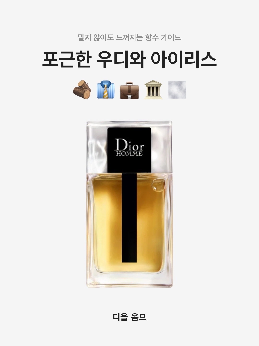 Dior Homme Eau de Toilette 100ml, Dior Homme Eau de Toilette 50ml 착용 스타일 - 1