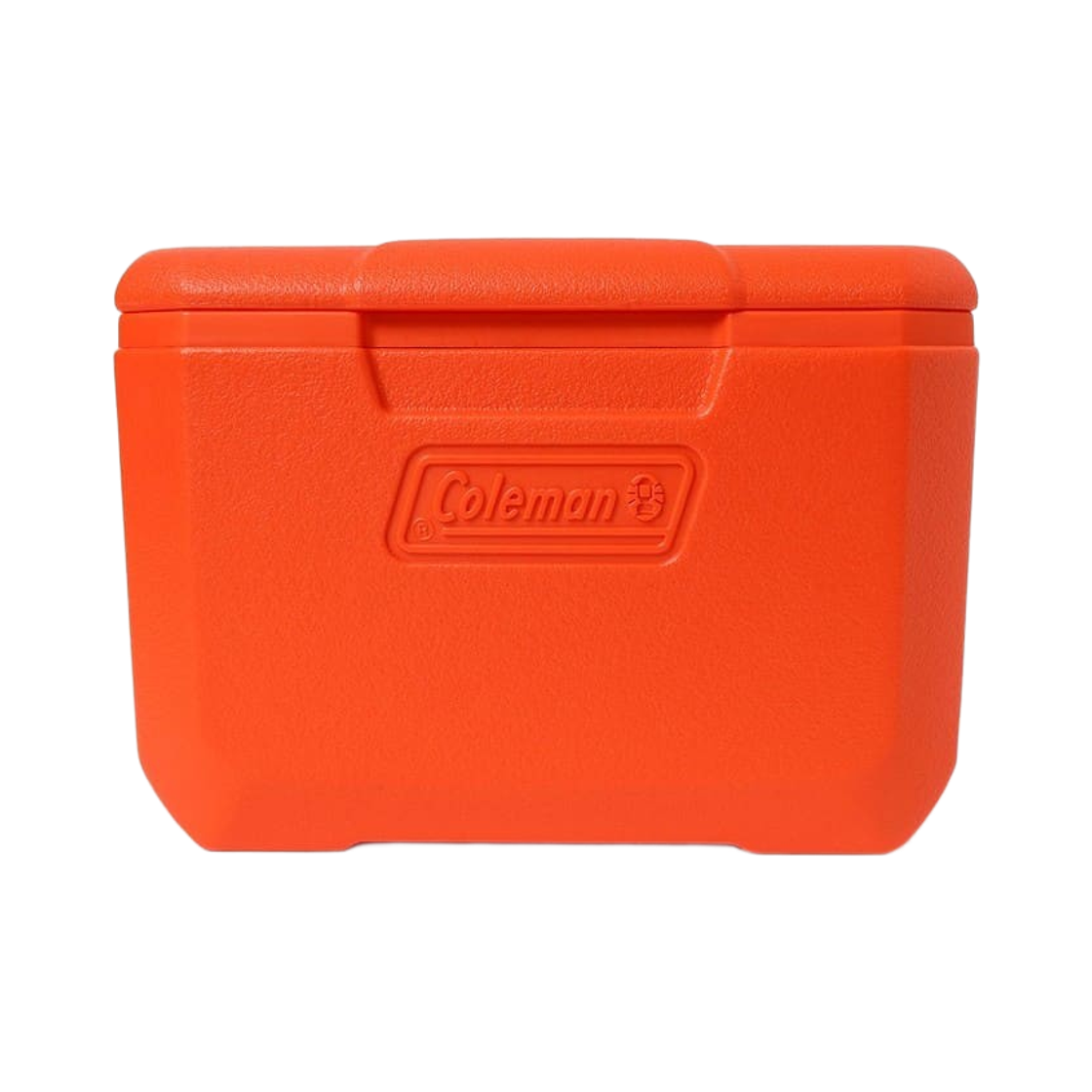 bPr 빔즈 x 콜맨 테이크 6 쿨러 박스 빔즈 크레이지(bPr Beams x Coleman Take 6 Cooler Box Beams Crazy)