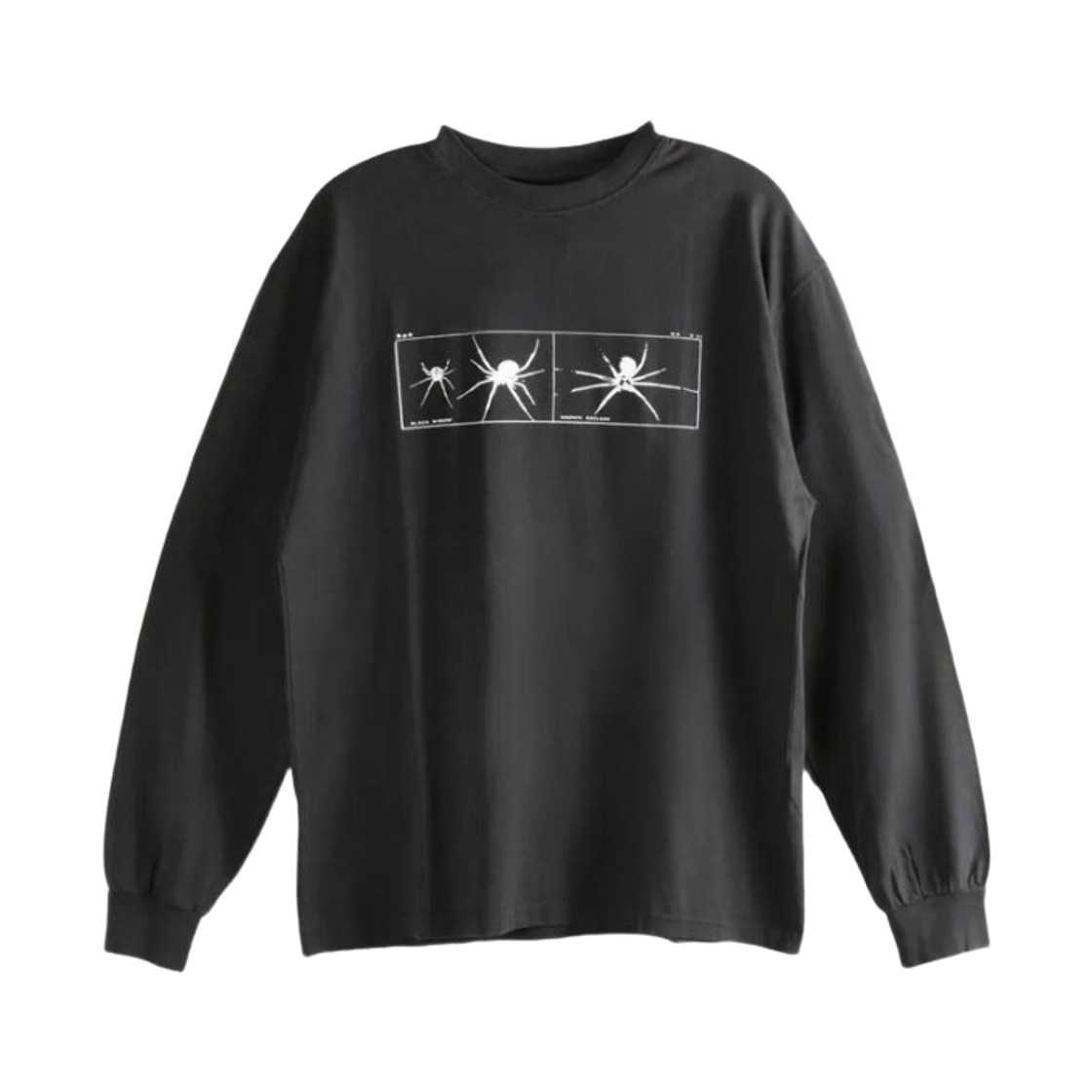 로아 비올리노 롱슬리브 티셔츠 워시드 블랙(Roa Violino Long Sleeve T-Shirt Washed Black)