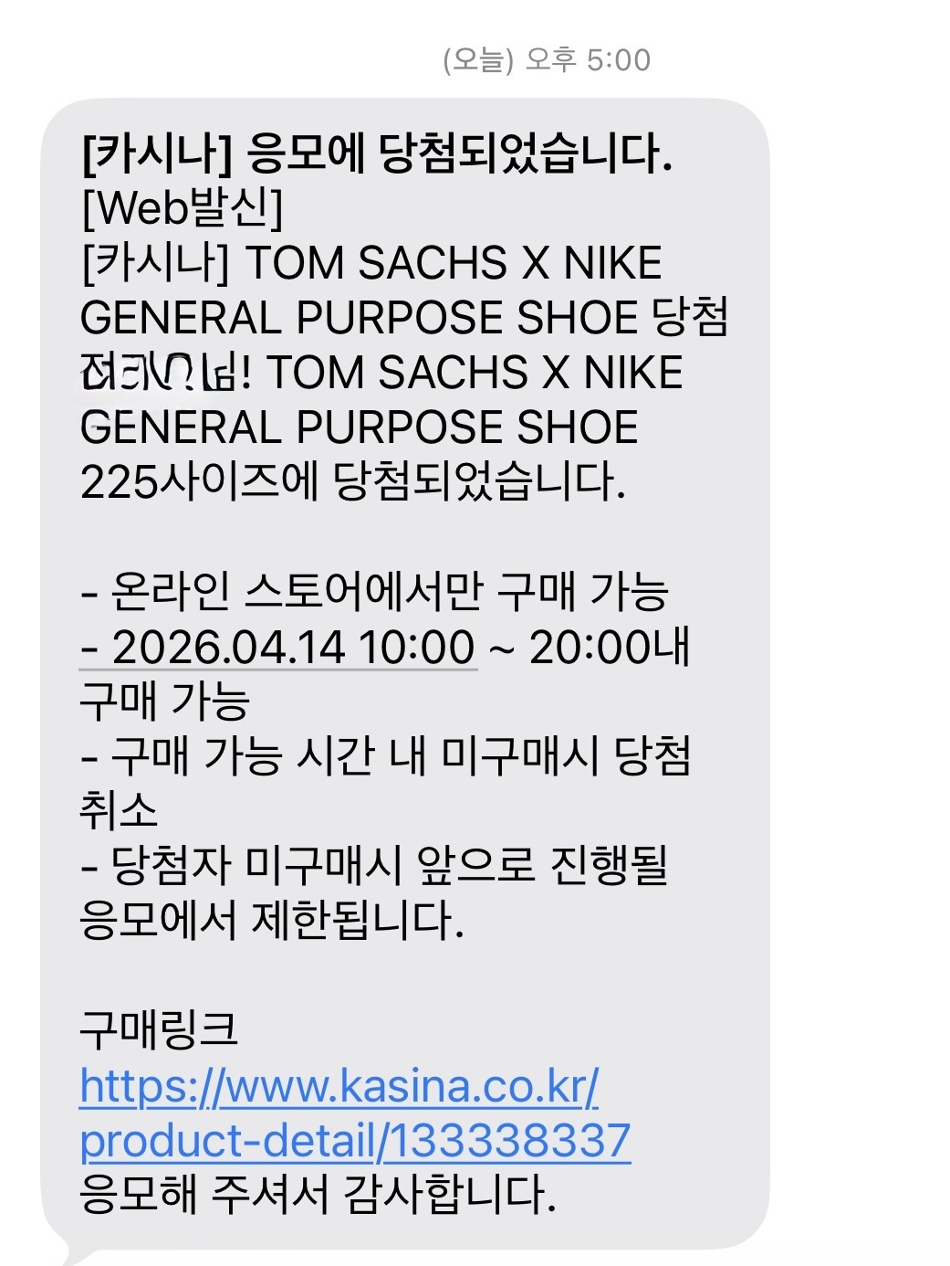 Nike x Tom Sachs General Purpose Shoe Pine Green University Gold 착용 스타일 - 2
