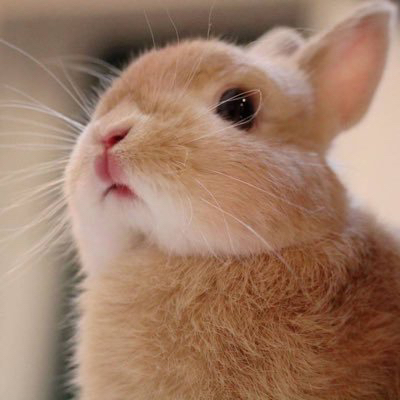 관심 유저 프로필 이미지