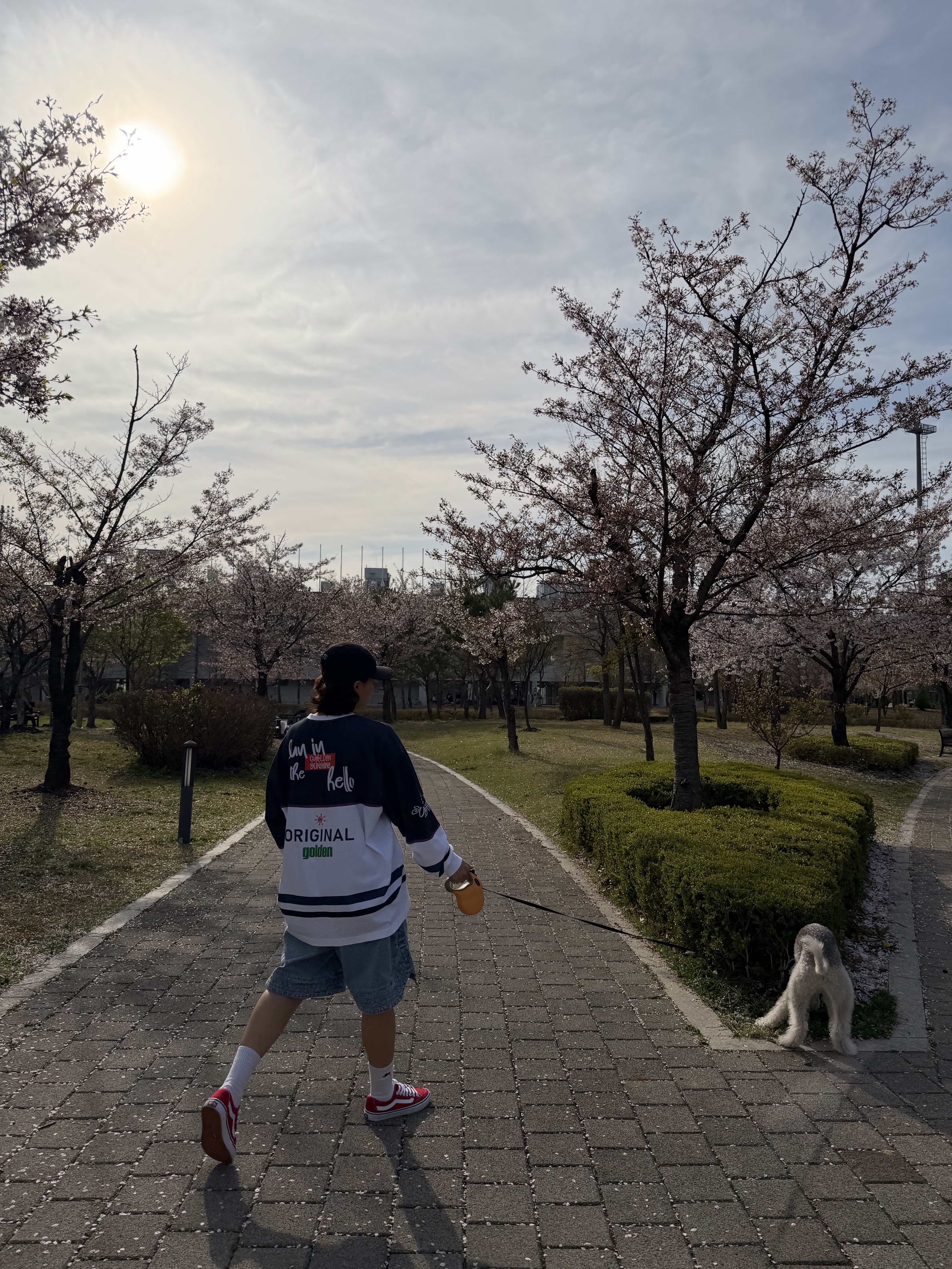 Supreme Military Camp Cap Black - 25SS, Supreme Big Logo Jacquard Hooded Sweatshirt Heather Grey - 23FW 착용 스타일 - 4