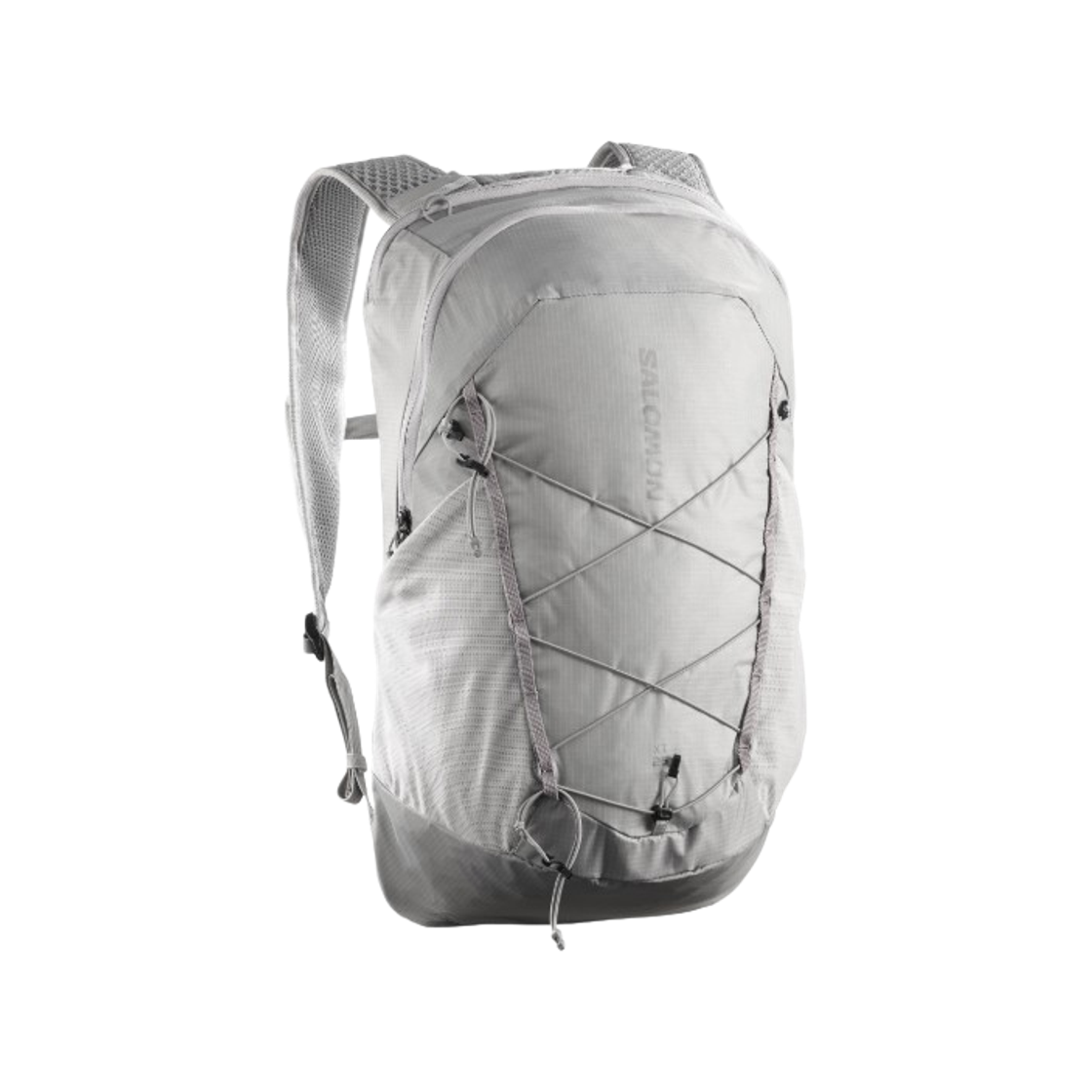 LC2857600 Salomon XT 25 Backpack Grey
